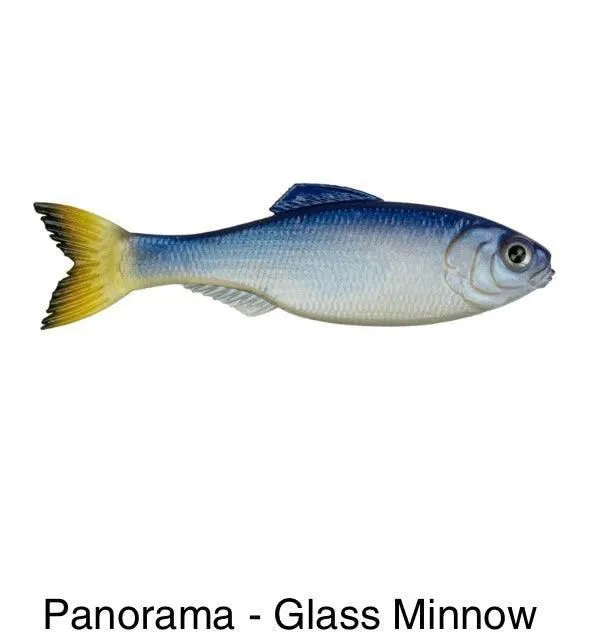 6th Sense Panorama