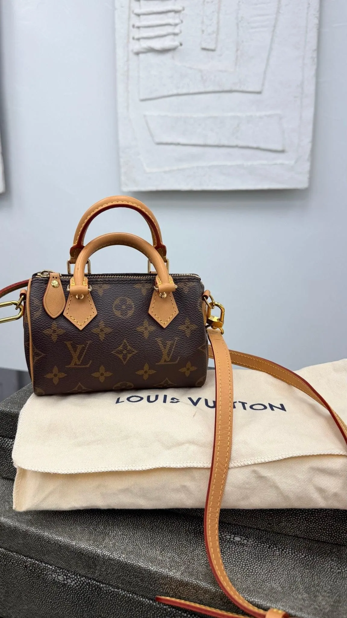 Louis Vuitton Monogram Nano Speedy