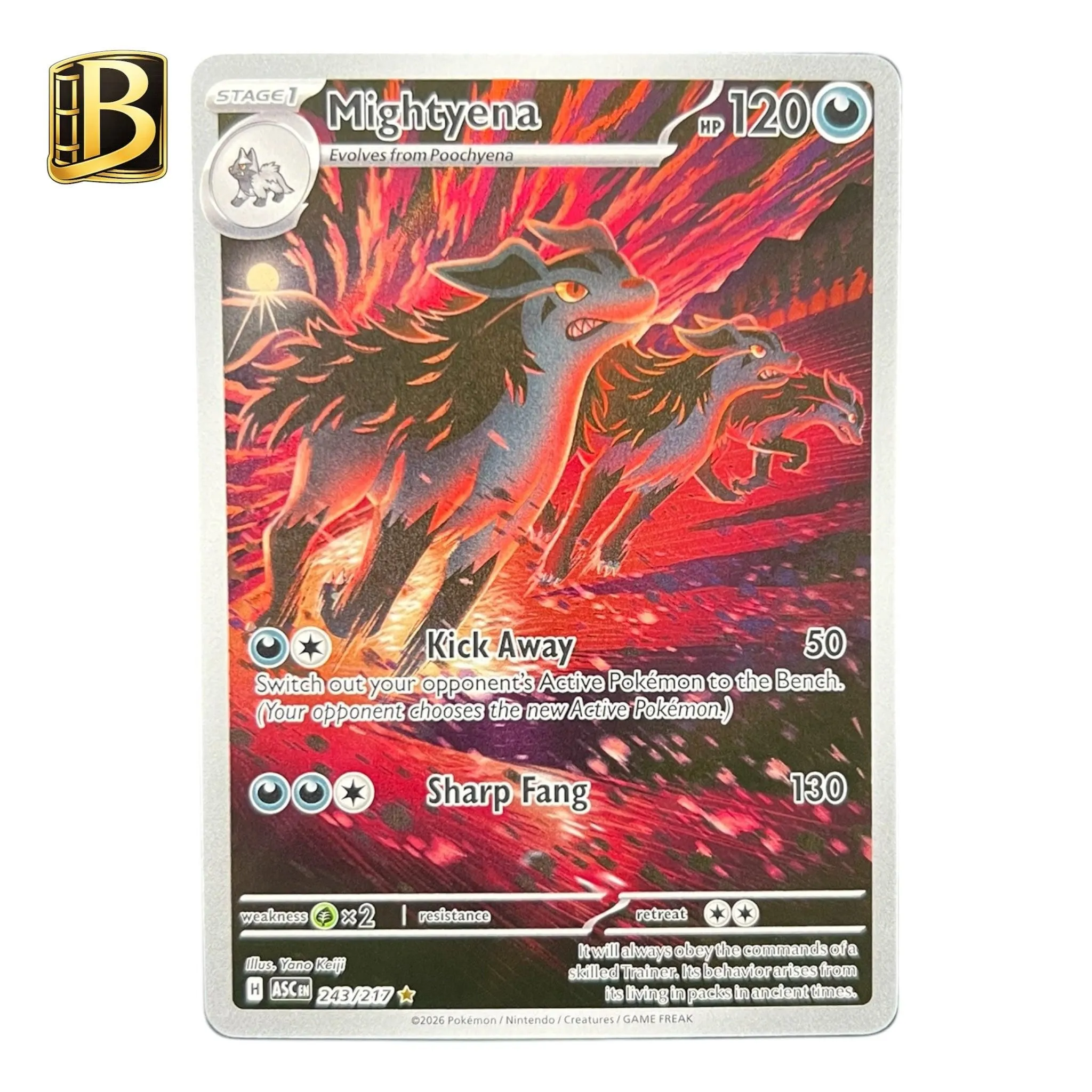 Mightyena 243/217 – Ascended Heroes – Illustration Rare – Pokémon