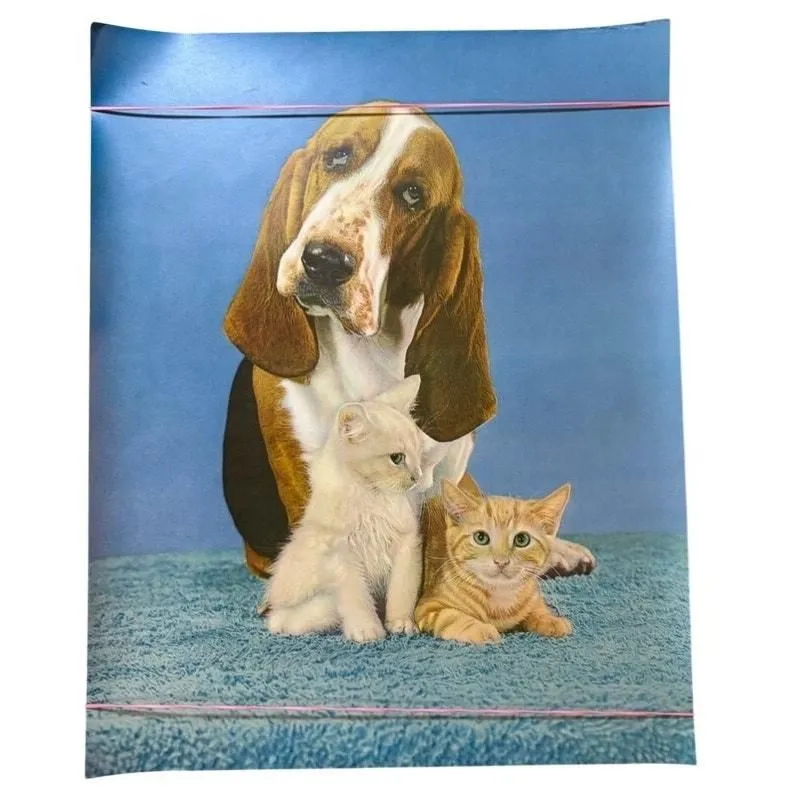 AH5jh40IvqF6vzMLTTpR Picture 0