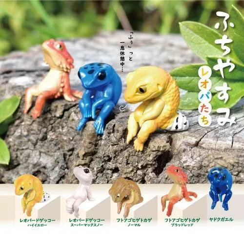 Playful Hanging Leopard Gecko - 1 Random Box