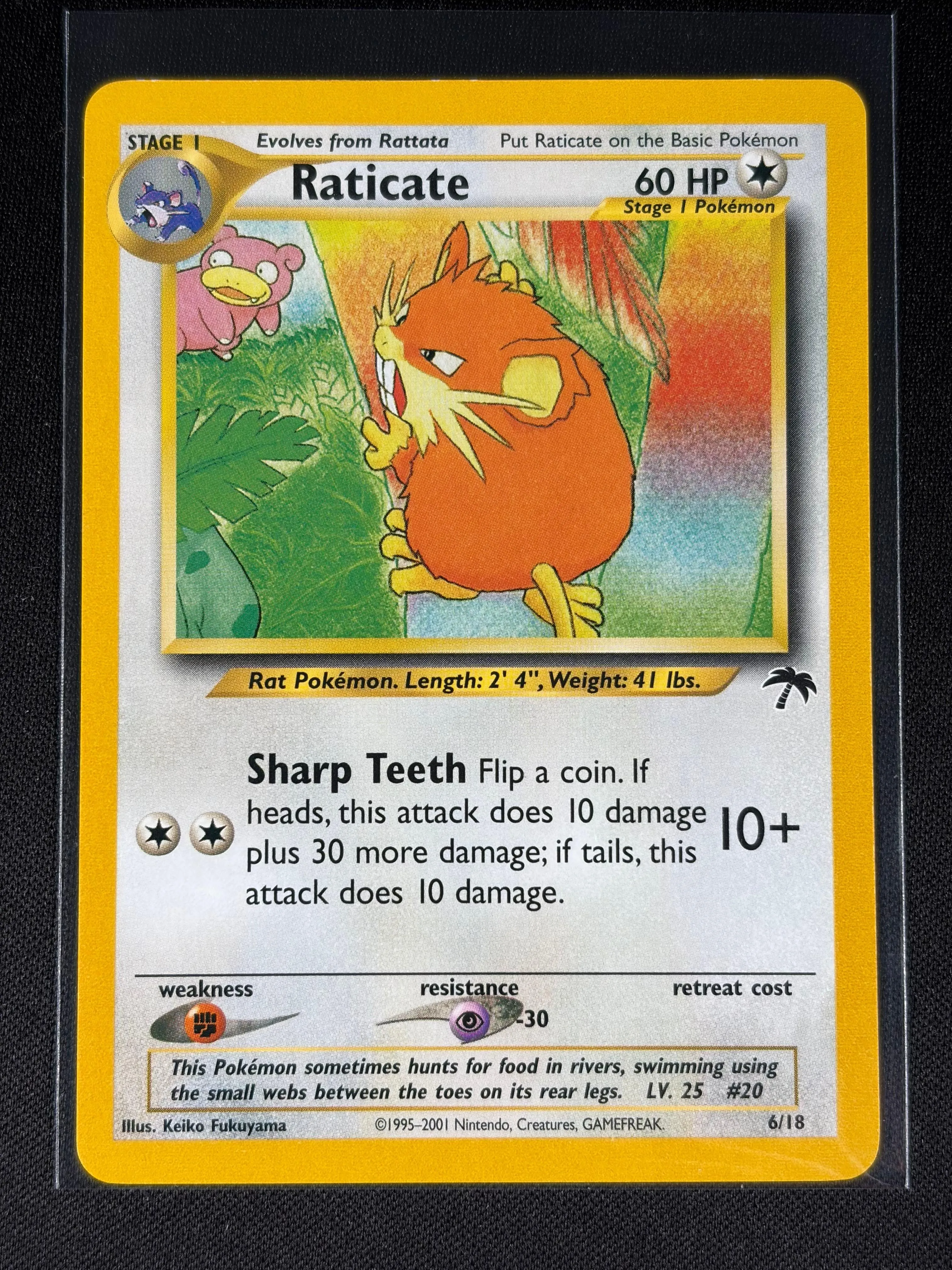 Raticate - Southern Islands - #6