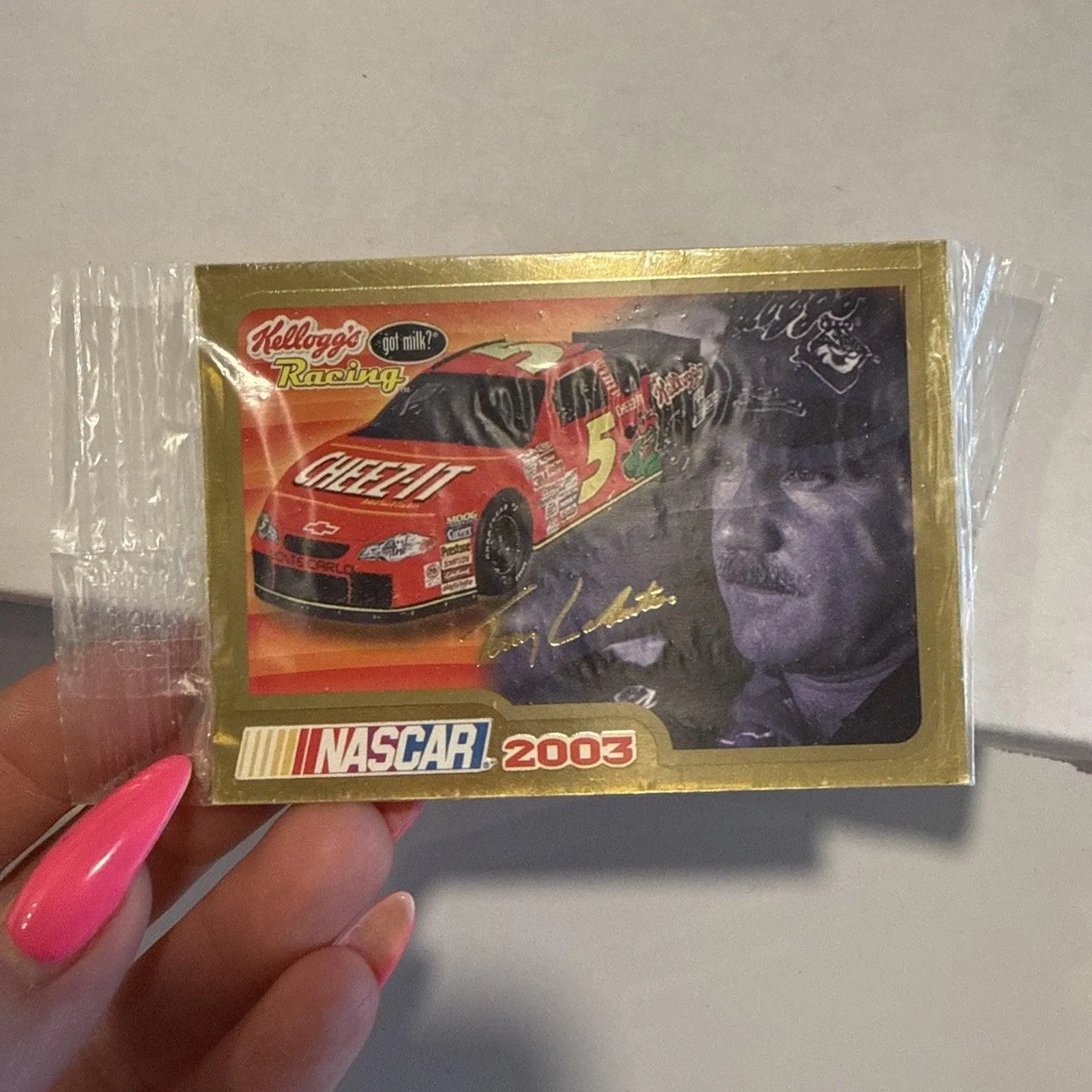2003 Terry Labonte NASCAR Kellogg's Racing Cheez-It Card 3 of 5 Factory Sealed
