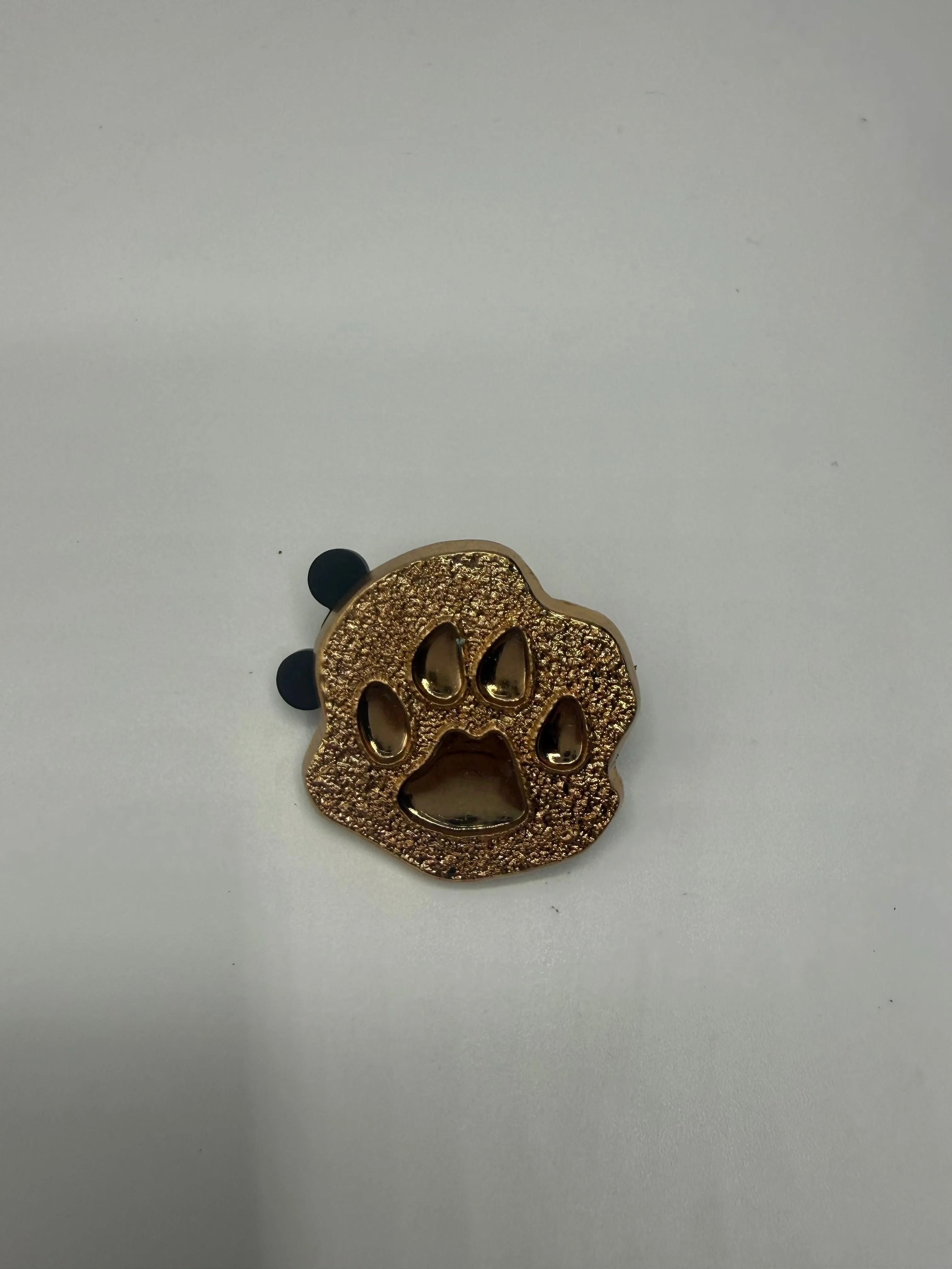 Lion King Studio Operations Disney Pin