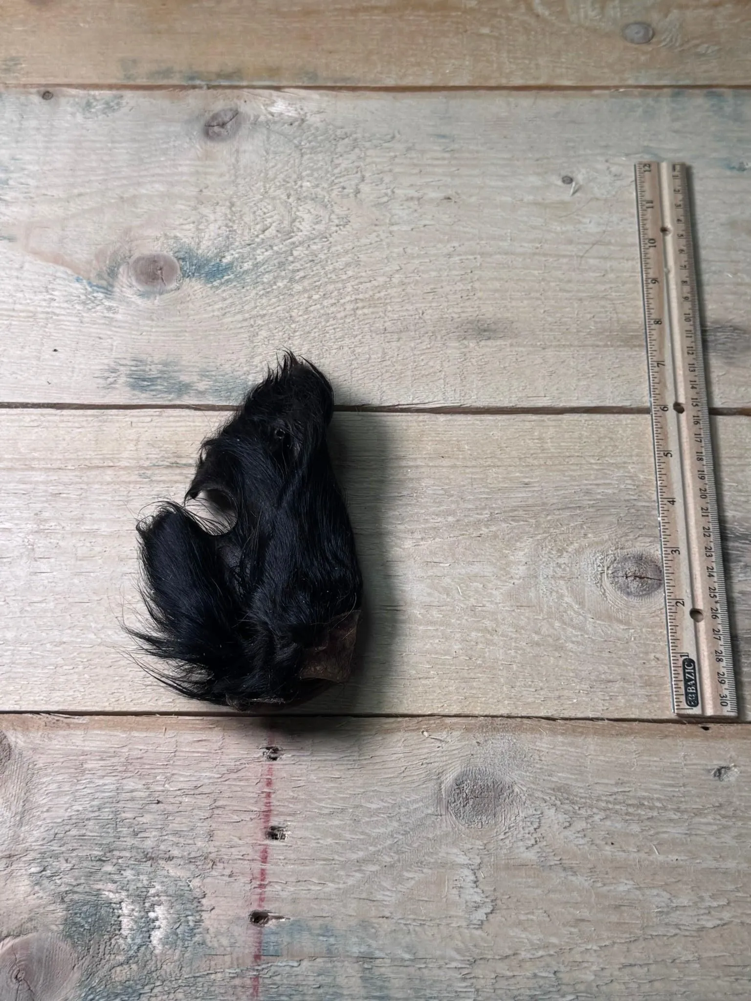 Hairy Cow Ears