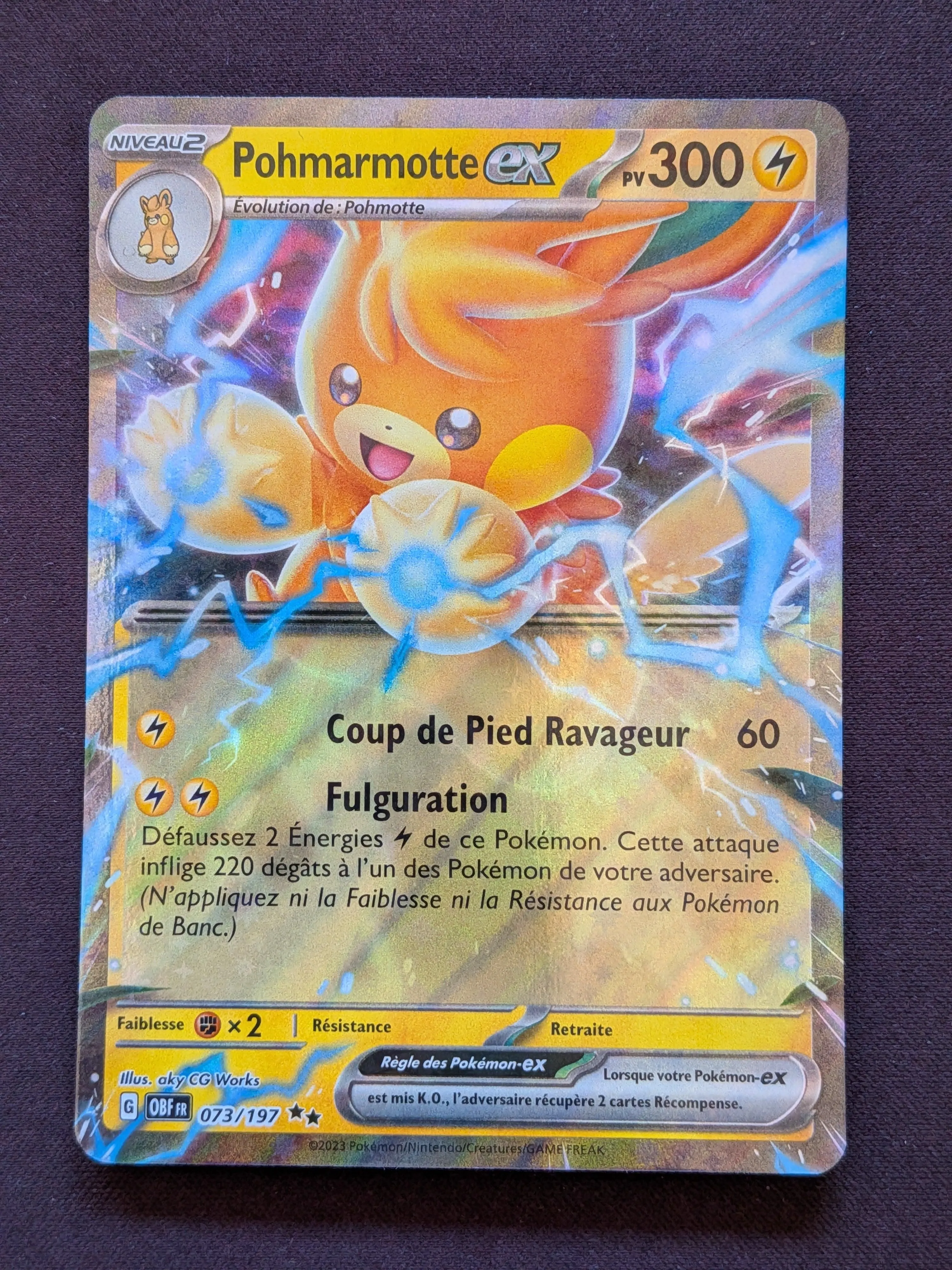 Pohmarmotte ex 073/197 OBF #CL-72