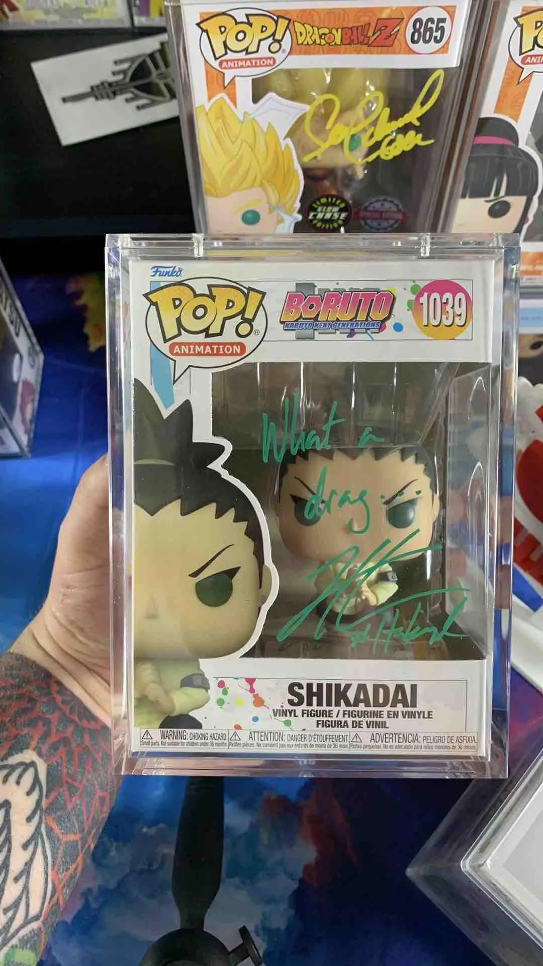 Product image for Shikadai
