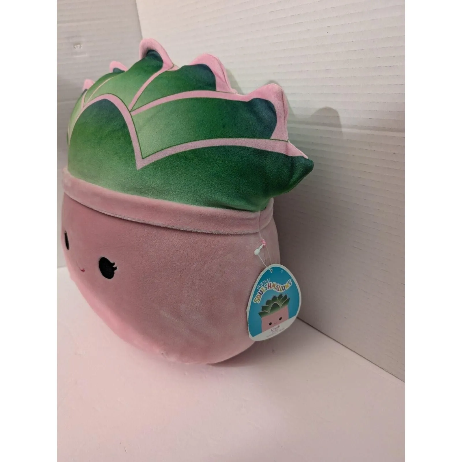 Squishmallows Succulents Plant Squad 12" Afiyah Plush Doll Toy With tag   Whatnot: Shop, Sell, Connect