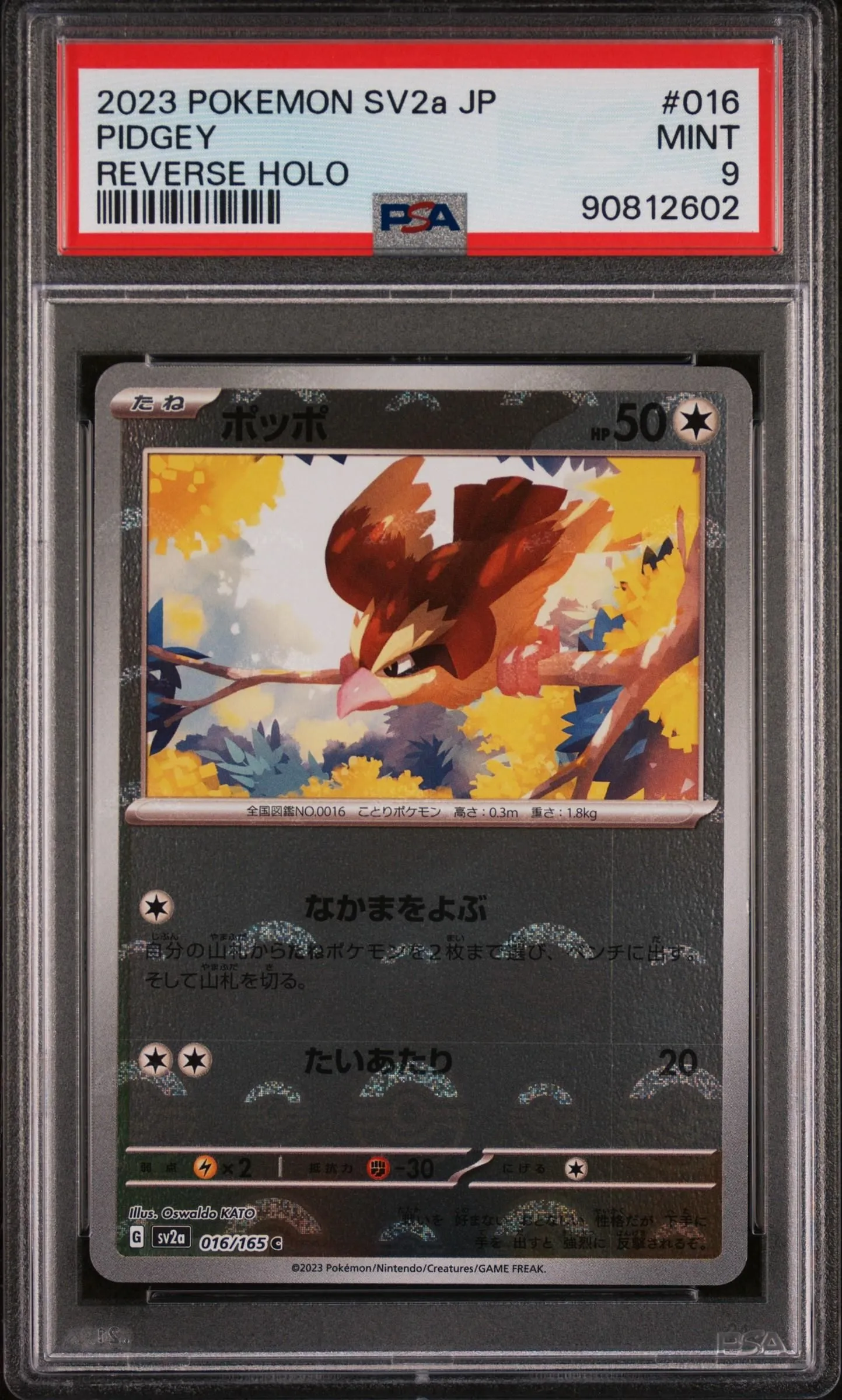 Product image for 2023 PokéMon TCG Pidgey #016 Japanese PSA 9