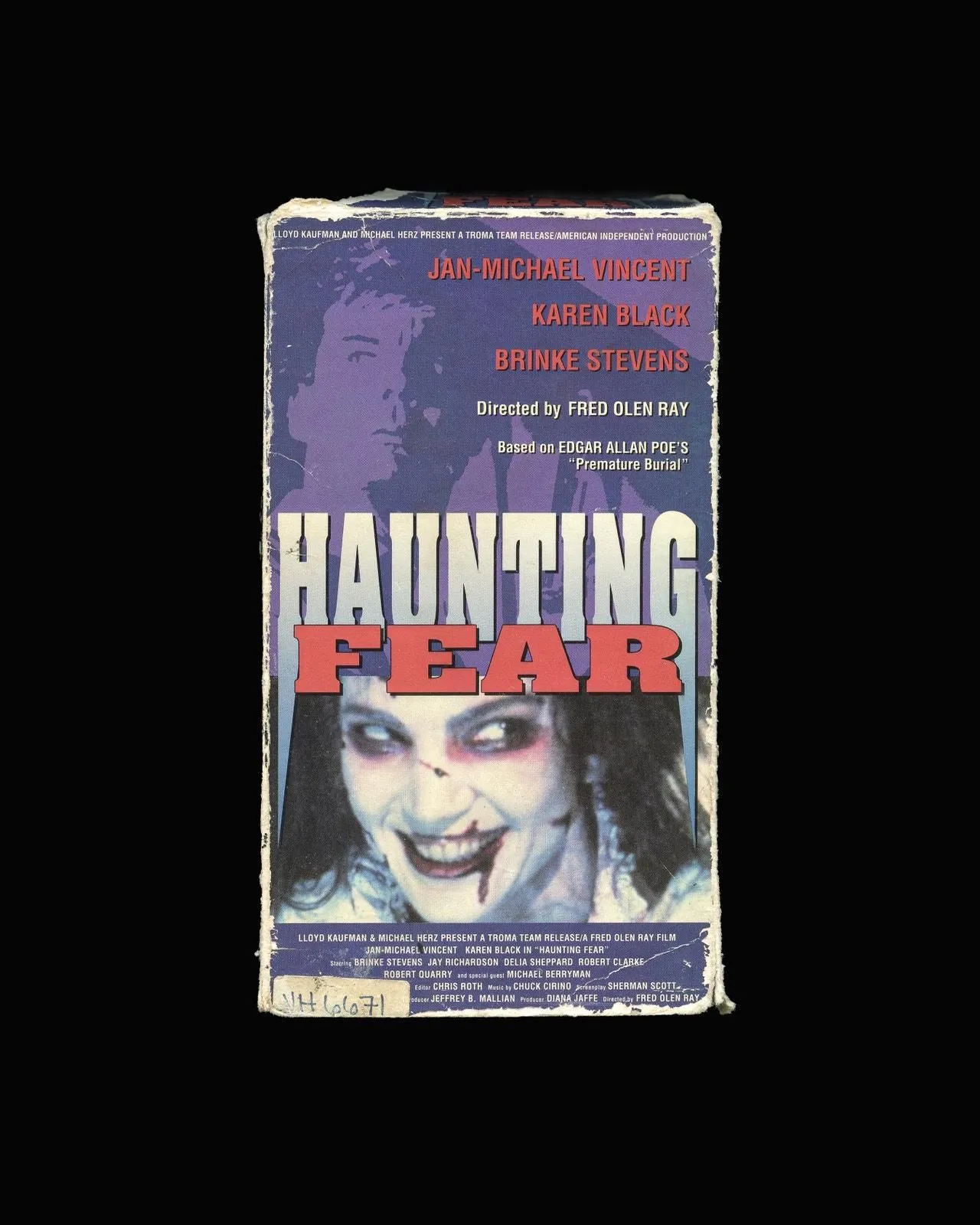 Product image for Haunting Fear (1990)