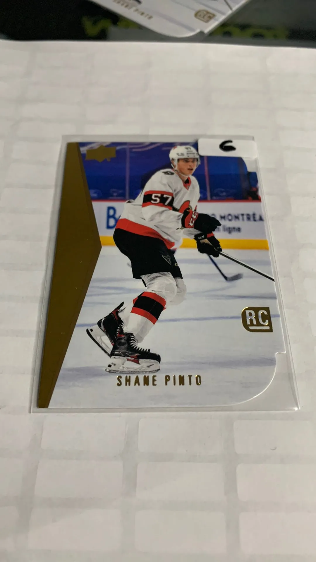 Product image for PINTO Gold Retro Rookie
