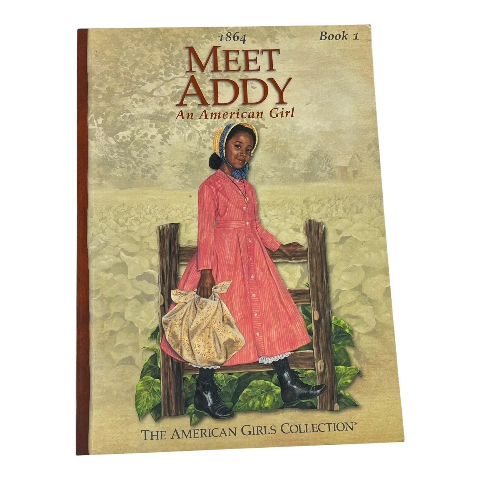 American Girl Pleasant Company MEET ADDY BOOK Historical 1864