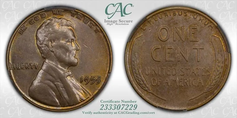 Product image for 1955 Doubled Die Obverse 1>?c CACG MS62BN - Coins, U.S. currency - Copper - Business - true - MS 62 - PCGS & CAC