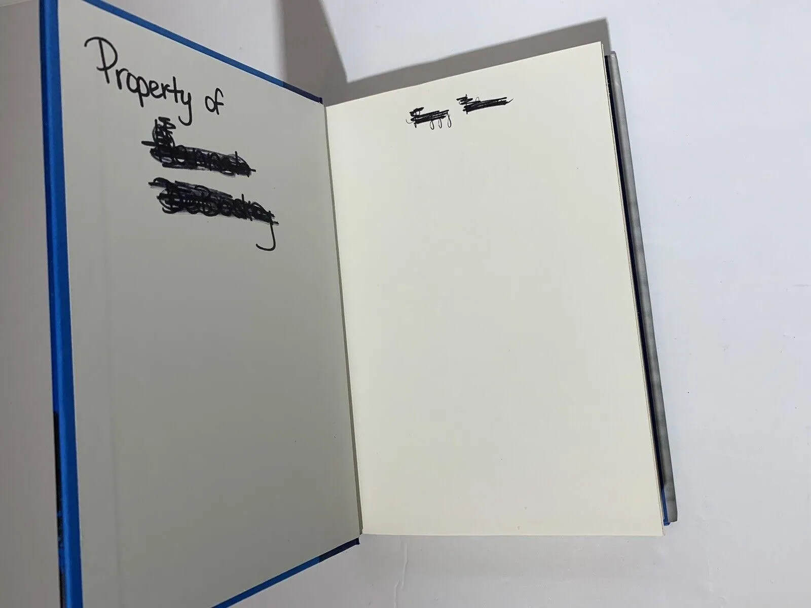Listing Image Blurred Background