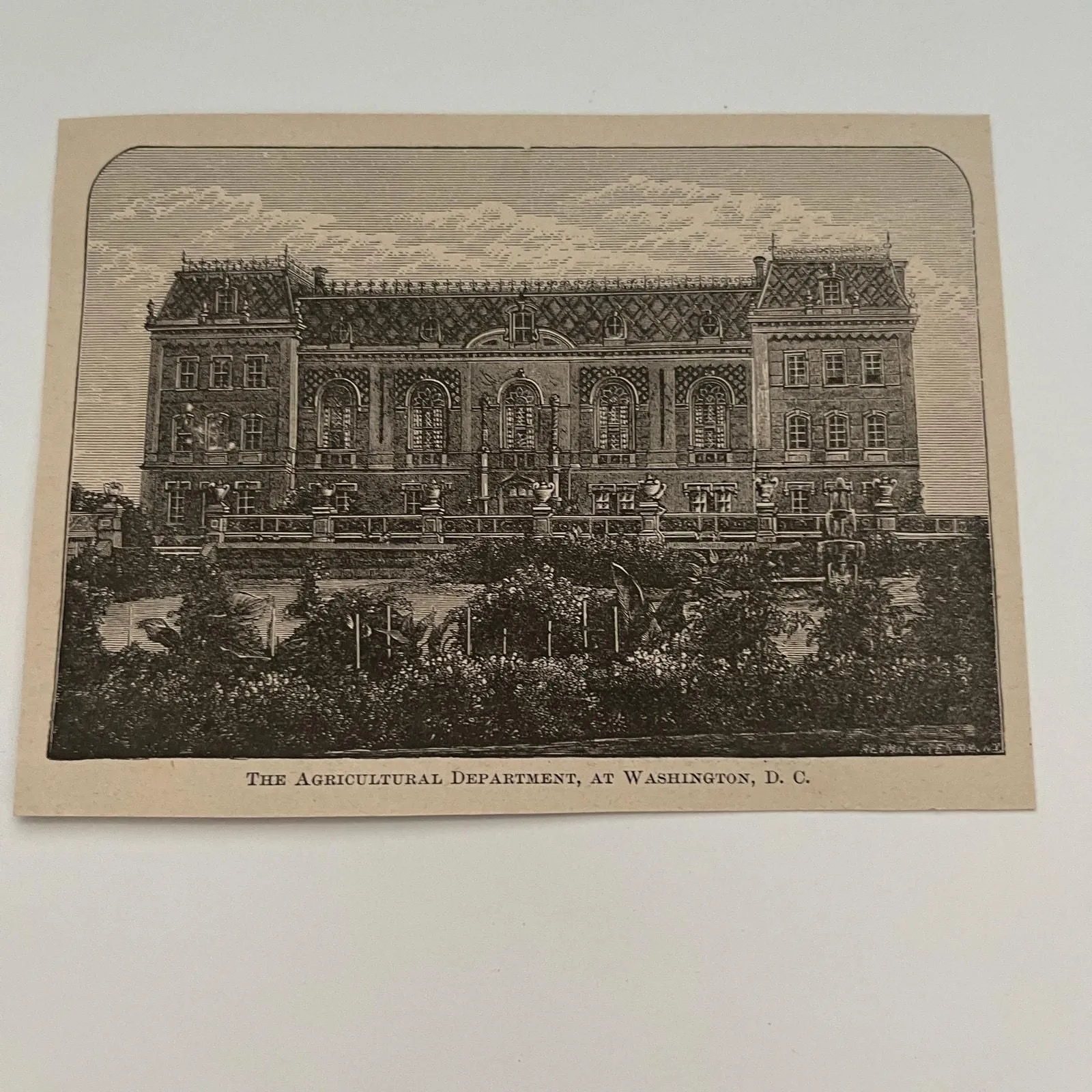 Product image for The Agricultural Department, At Washington, D.C. 1894 Art Engraving SAG4-8
