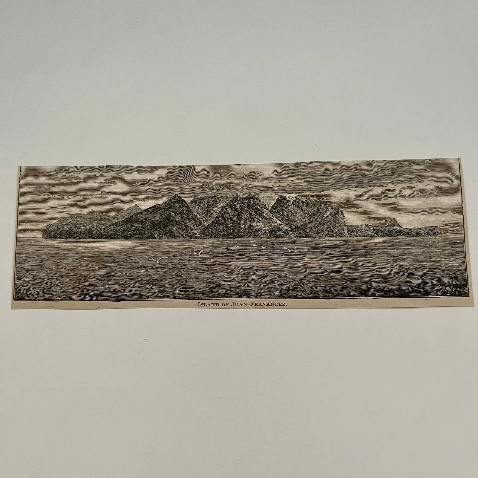 Product image for Island of Juan Fernandez 1894 Art Engraving SAG4-8