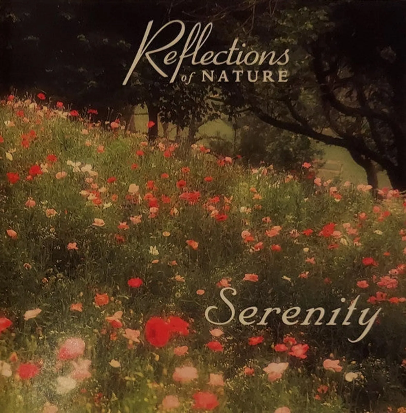 Product image for Rob Sutherland - Serenity (CD, Album)