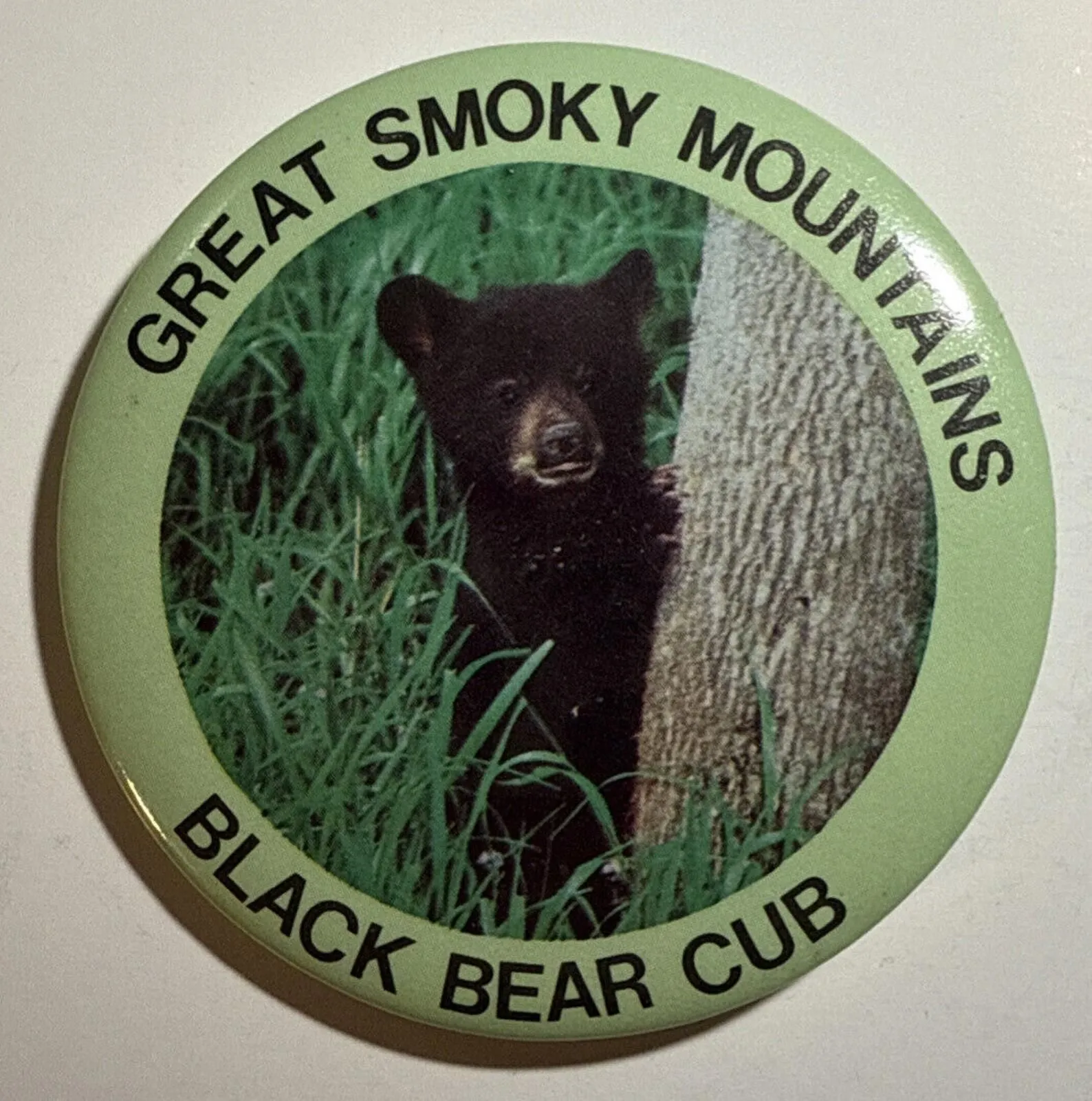 Product image for Vintage Great Smoky Mountains Black Bear Club Pinback Button 2.5" E10