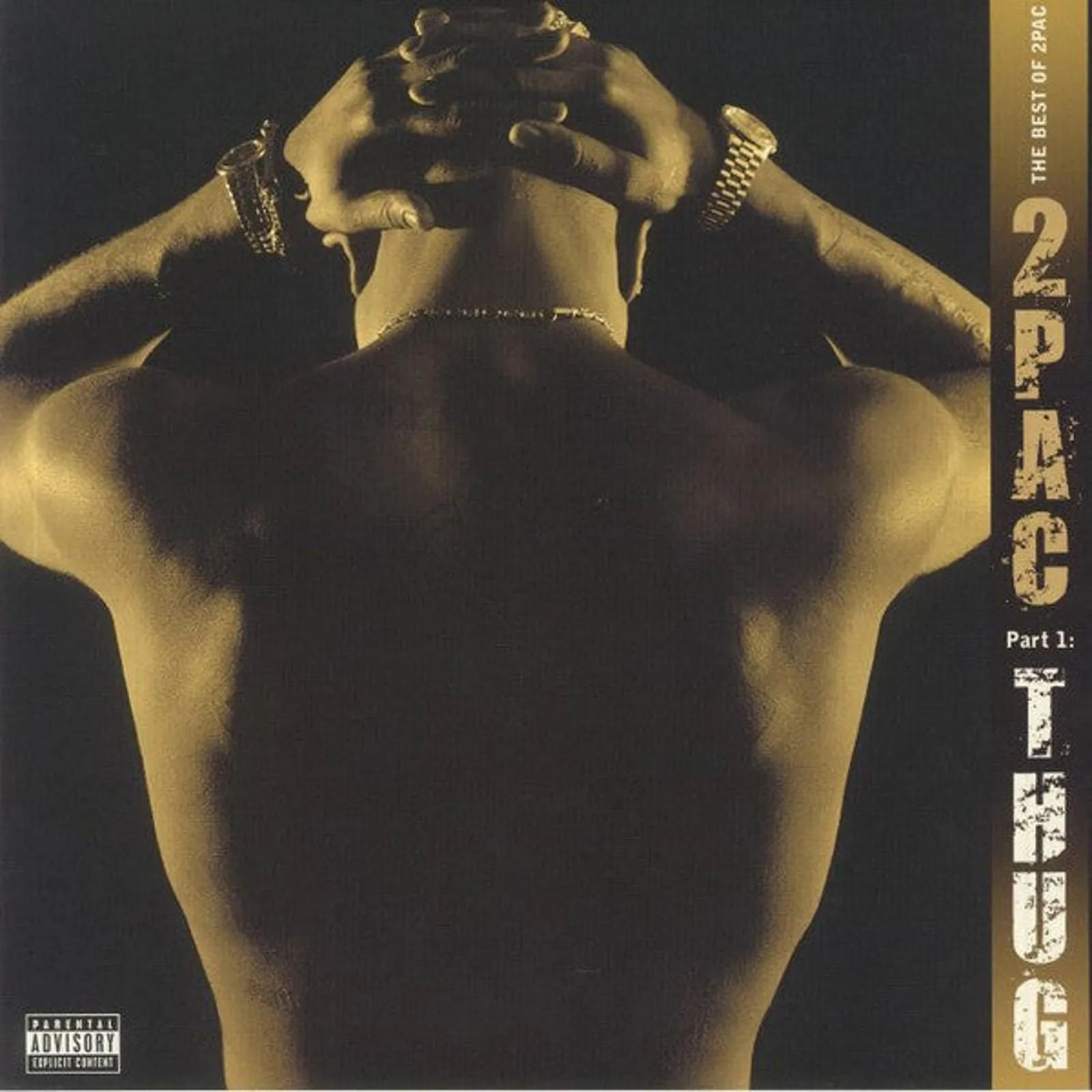 Product image for 2Pac - The Best Of 2Pac - Part 1: Thug (2xLP, Comp) - mint-m-