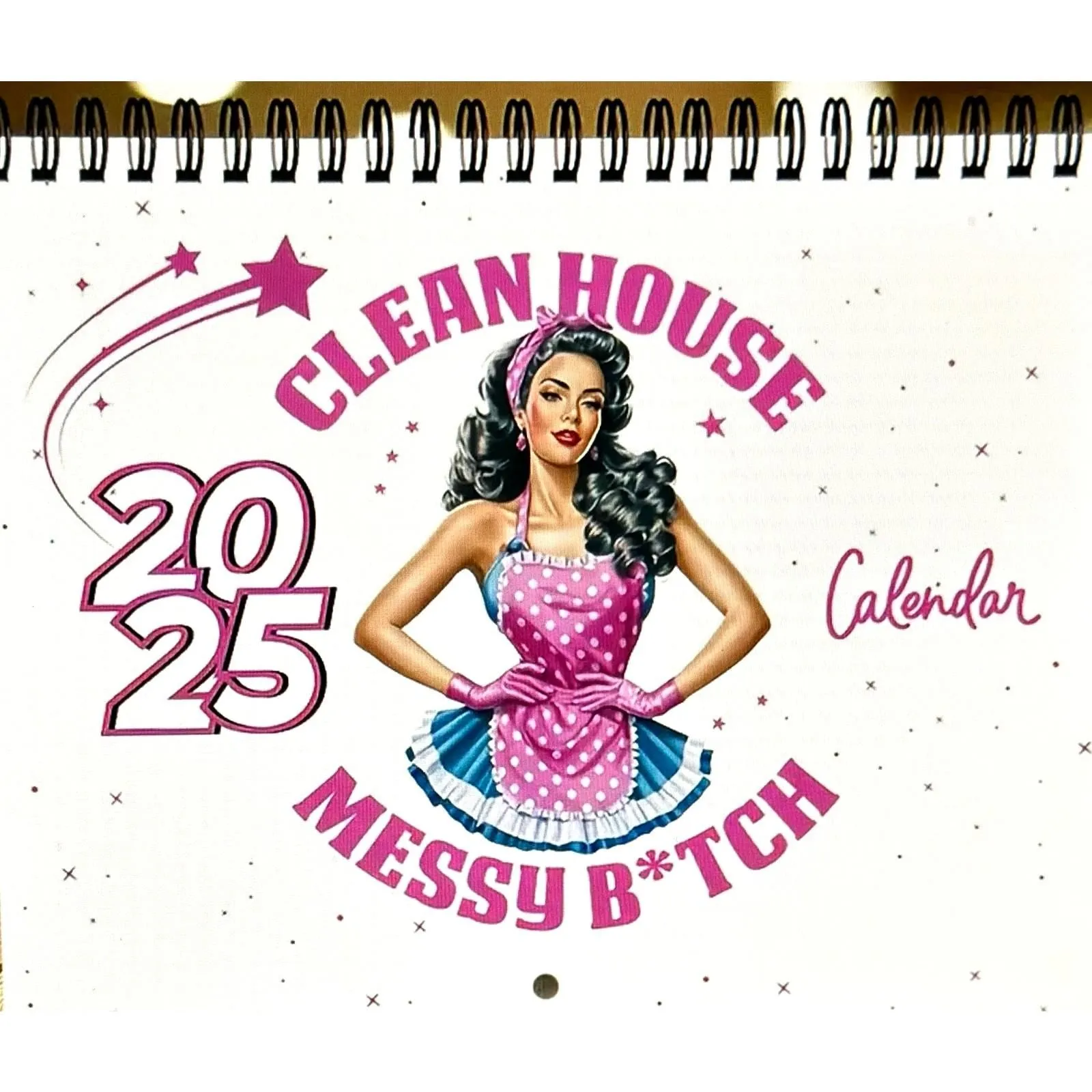 Product image for 2025 Sarcastic Housewife Calendar 
 - new-with-box