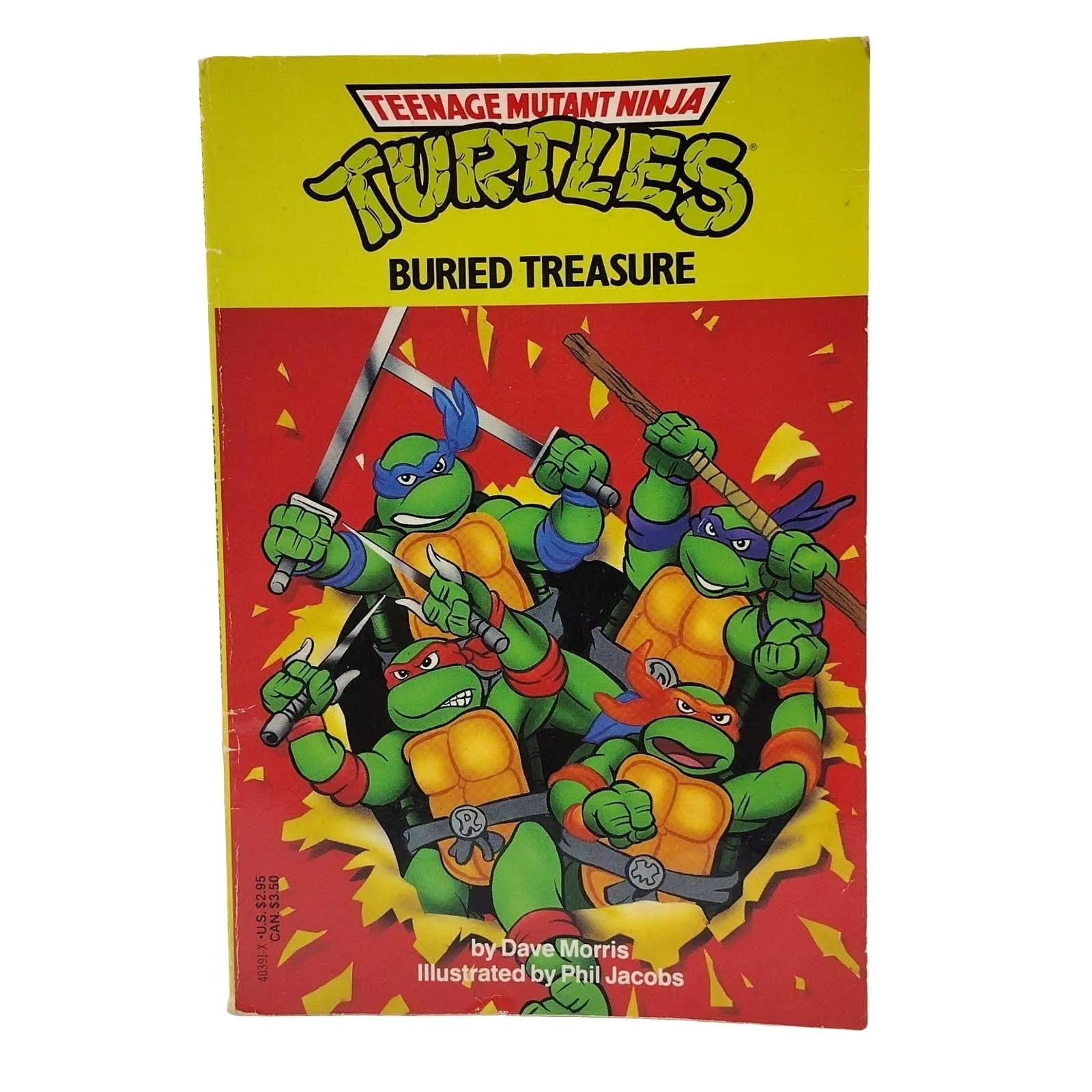 Product image for Teenage Mutant Ninja Turtles Buried Treasure Paperback Book 1990 TMNT Classic - good