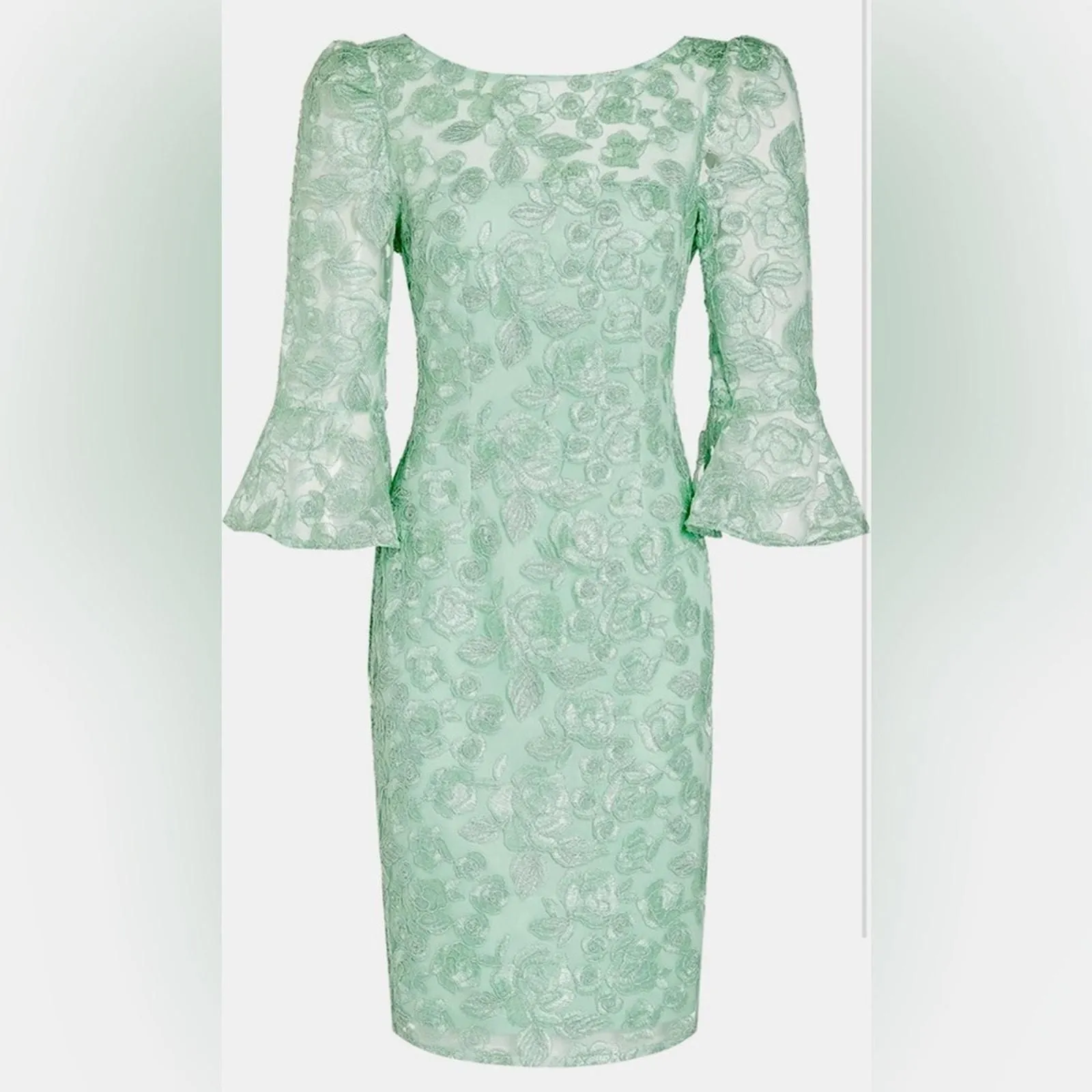 Product image for Adrianna Papell Women's Rosie Embroidery Sheath Color Mint Smoke SZ 8 (M) NWT! - Adrianna Papell