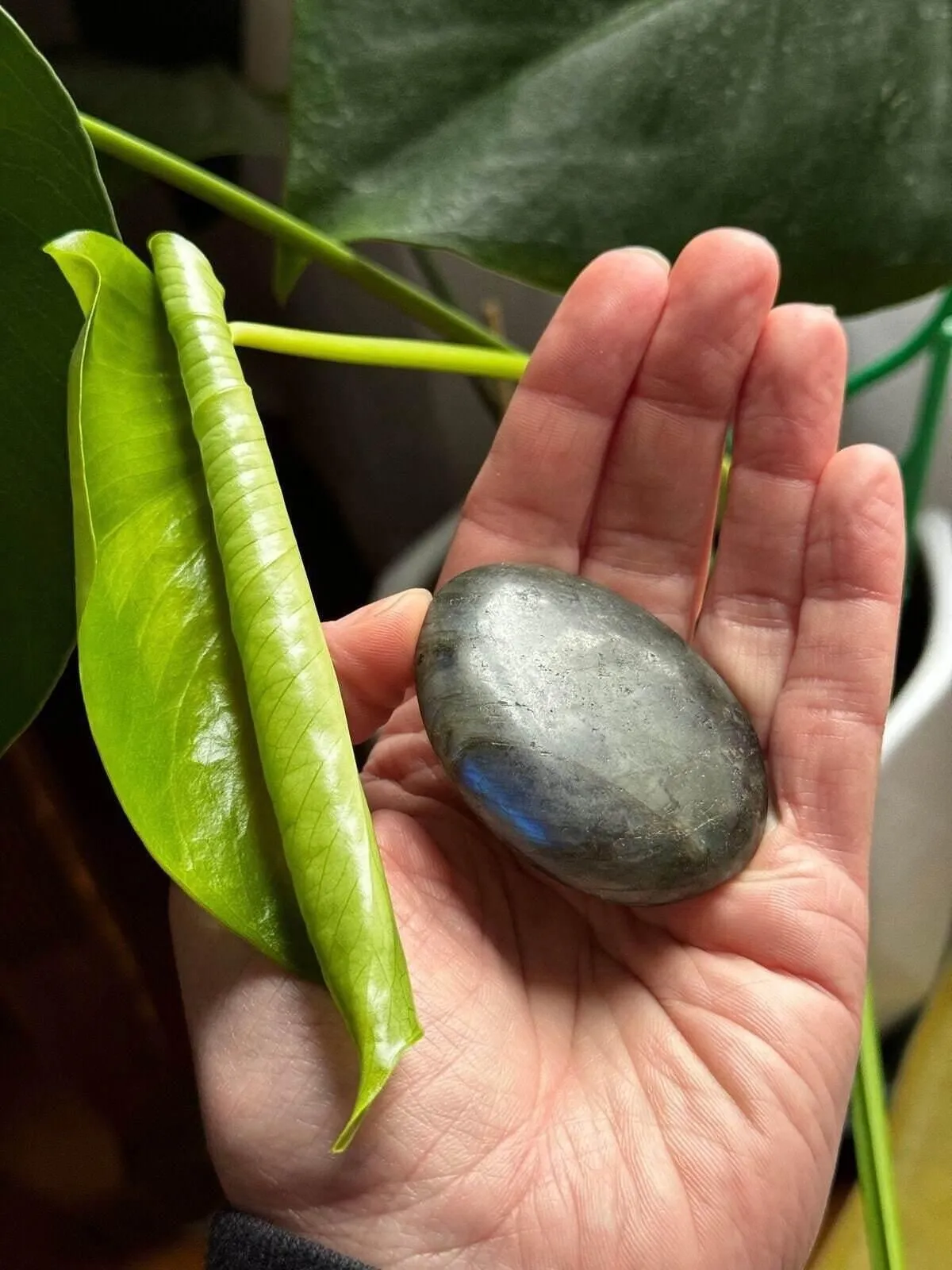Product image for Labradorite Crystal Palm stone