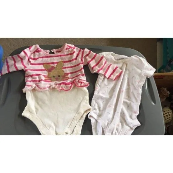 Product image for Baby girl onesies 12 month lot