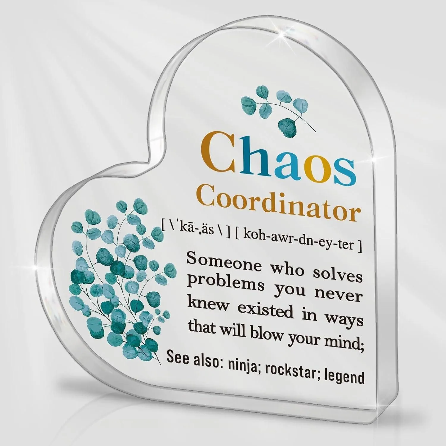 Product image for Chaos Coordinator Appreciation Gifts for Coworkers, Friend, Thank You Gifts