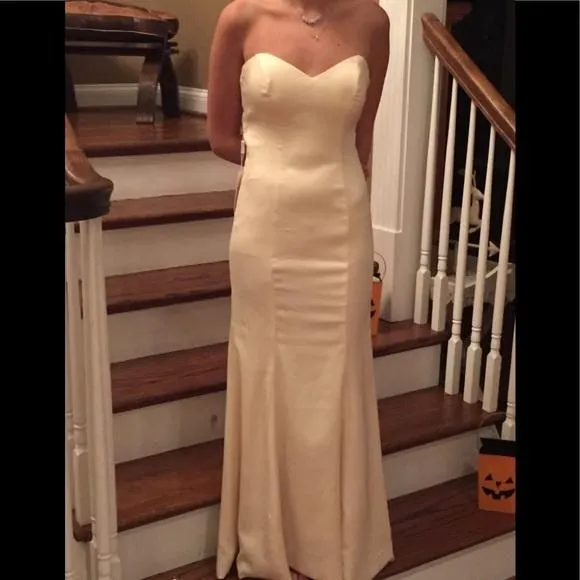 Product image for BNWT -Custom designed Prom Gown - PRICE FIRM- 0