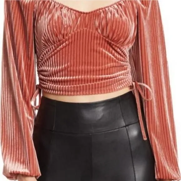 Product image for Sophie Rue Mauve/Auburn Side Ruched Tie Velvet Long Sleeve Top. Size XL