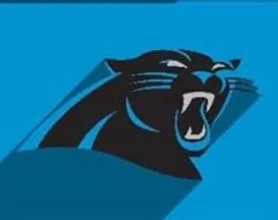 Product image for Carolina Panthers