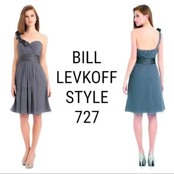 Product image for NWT BILL LEVKOFF Style #727 Pewter Gray Chiffon One-Shoulder Formal Dress Size 8
