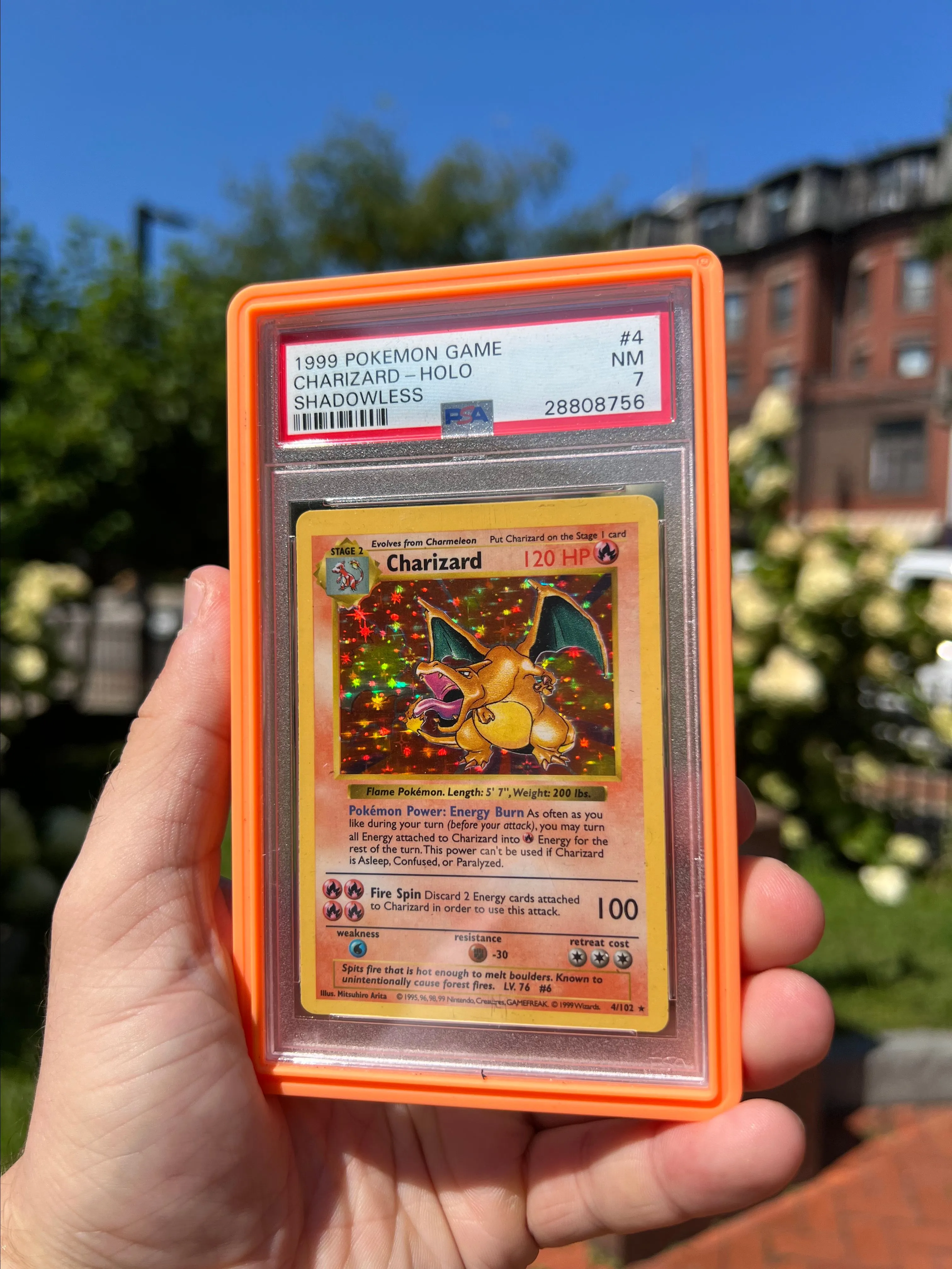 1999 Shadowless Base Set Charizard PSA NM 7 · Whatnot: Shop