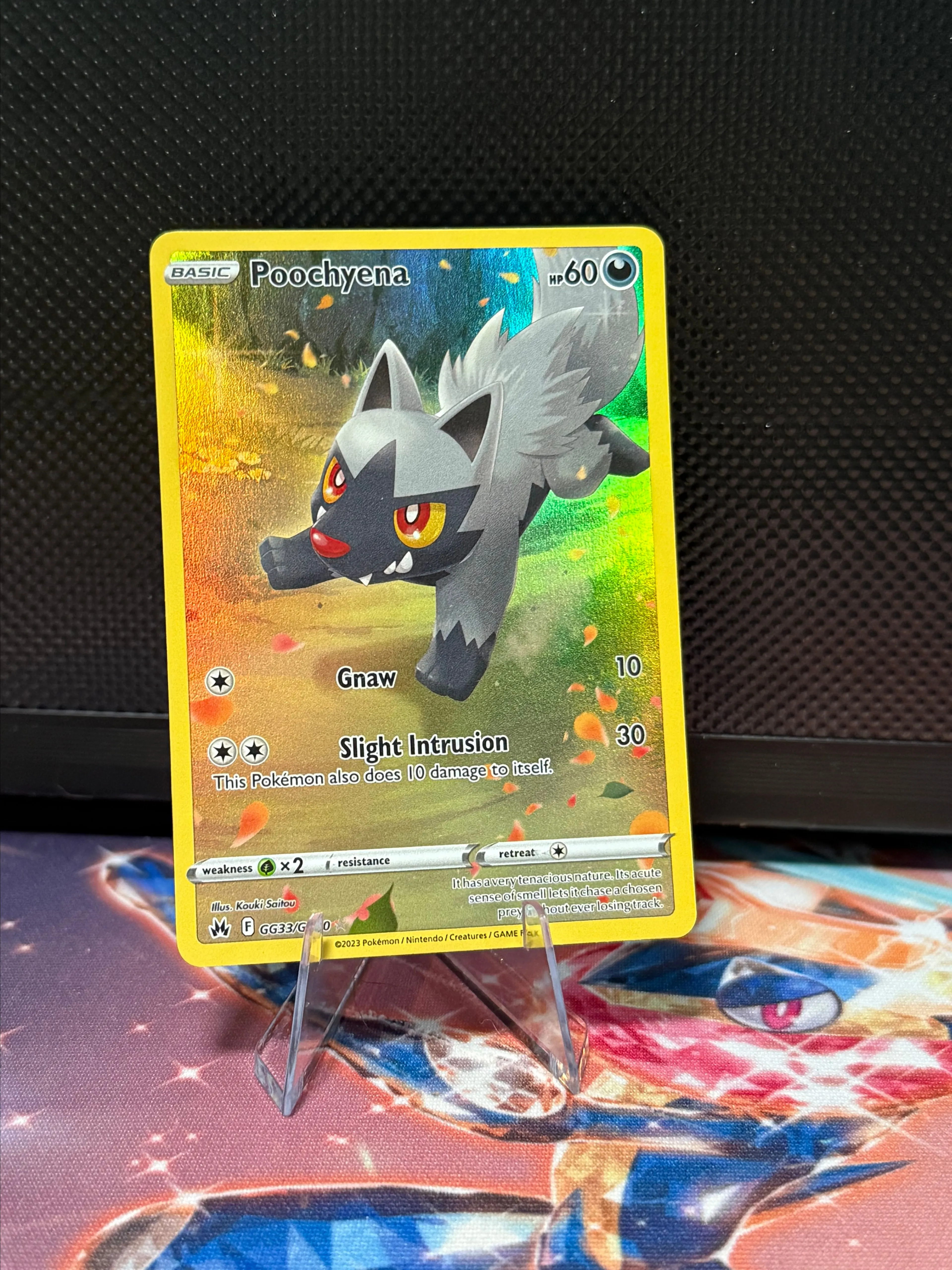 Pokemon Card Game/[SVLS] Stellar Tera Type Starter Set