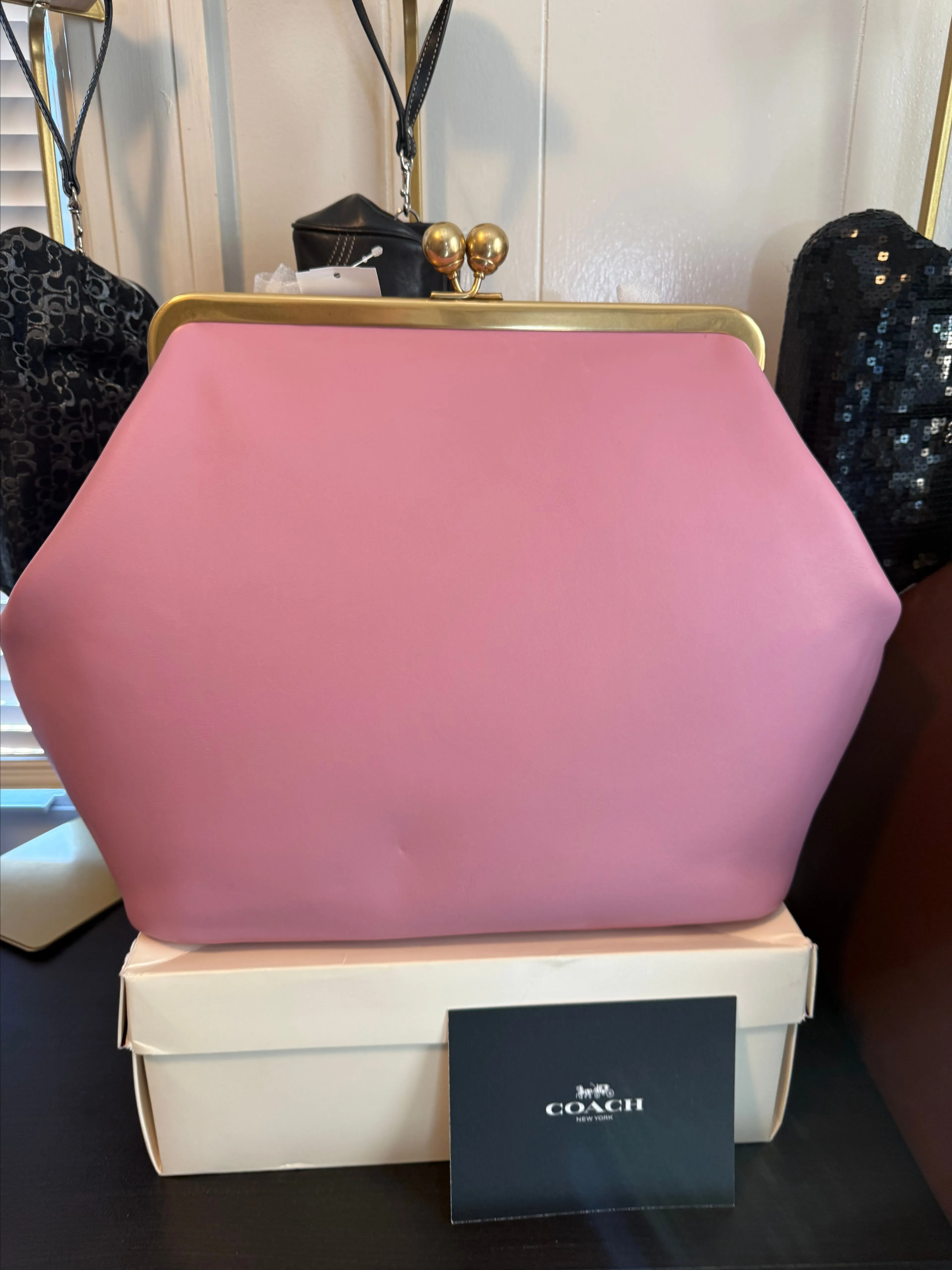1 NWT Coach Kiss Lock Frame Bag Pink · Whatnot: Shop, Sell, Connect