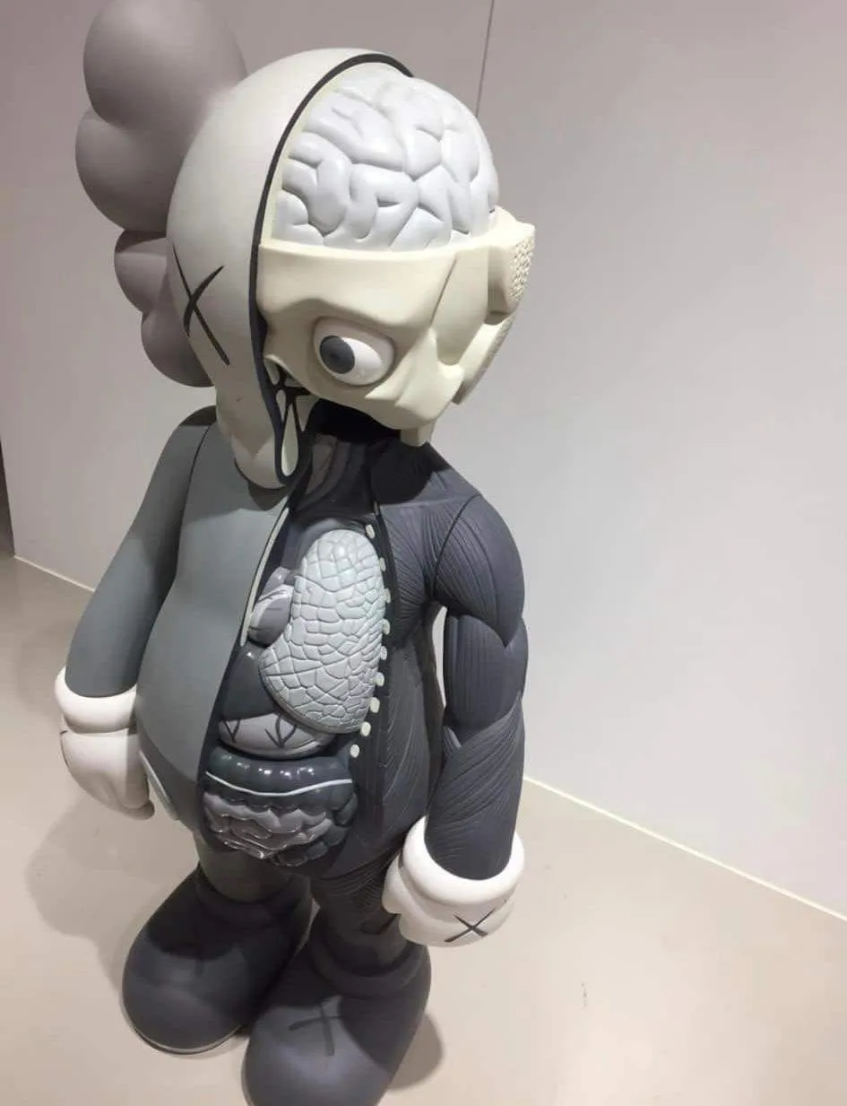 Kaws-Along-The-Way-Vinyl-