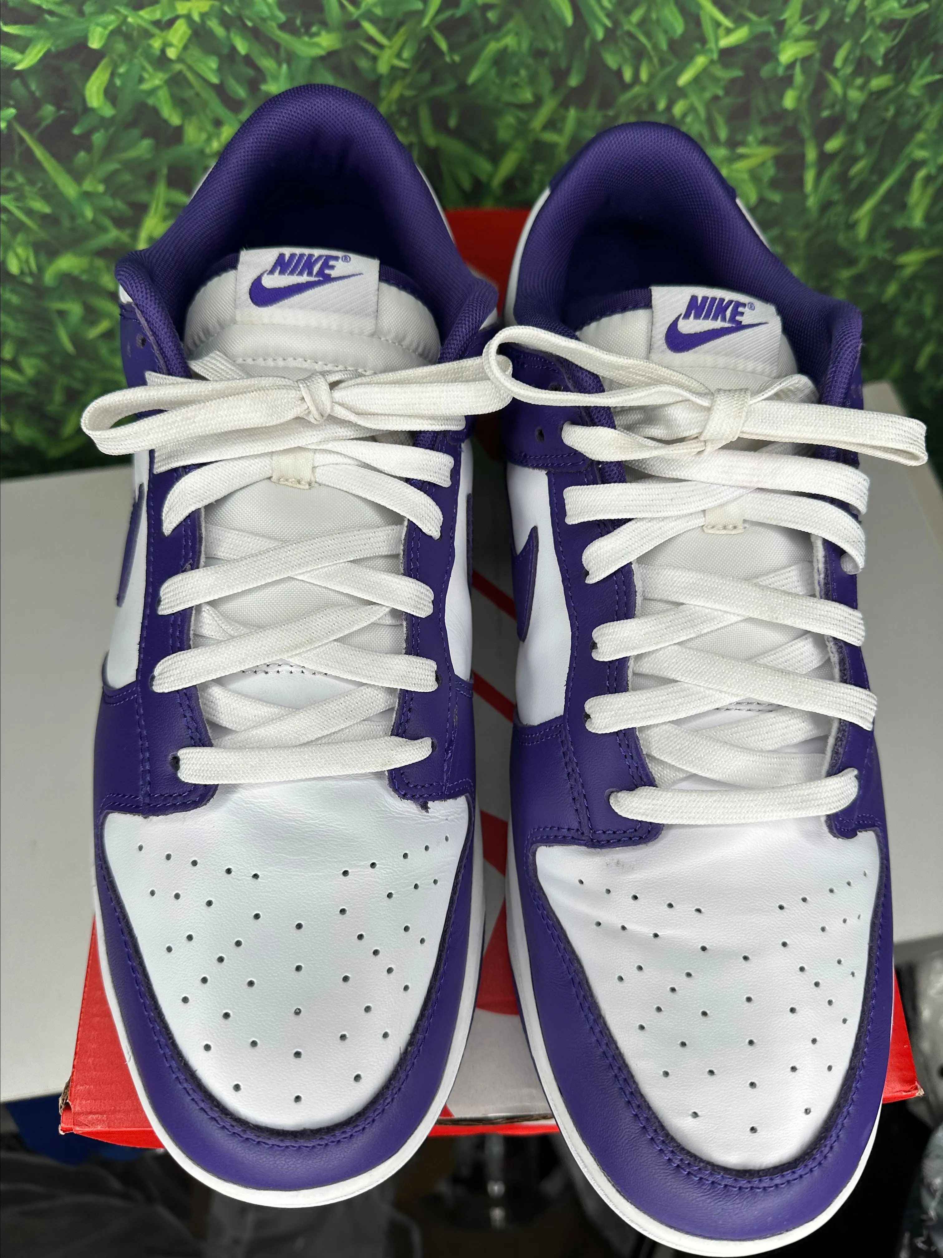 2022 Nike Dunk low 