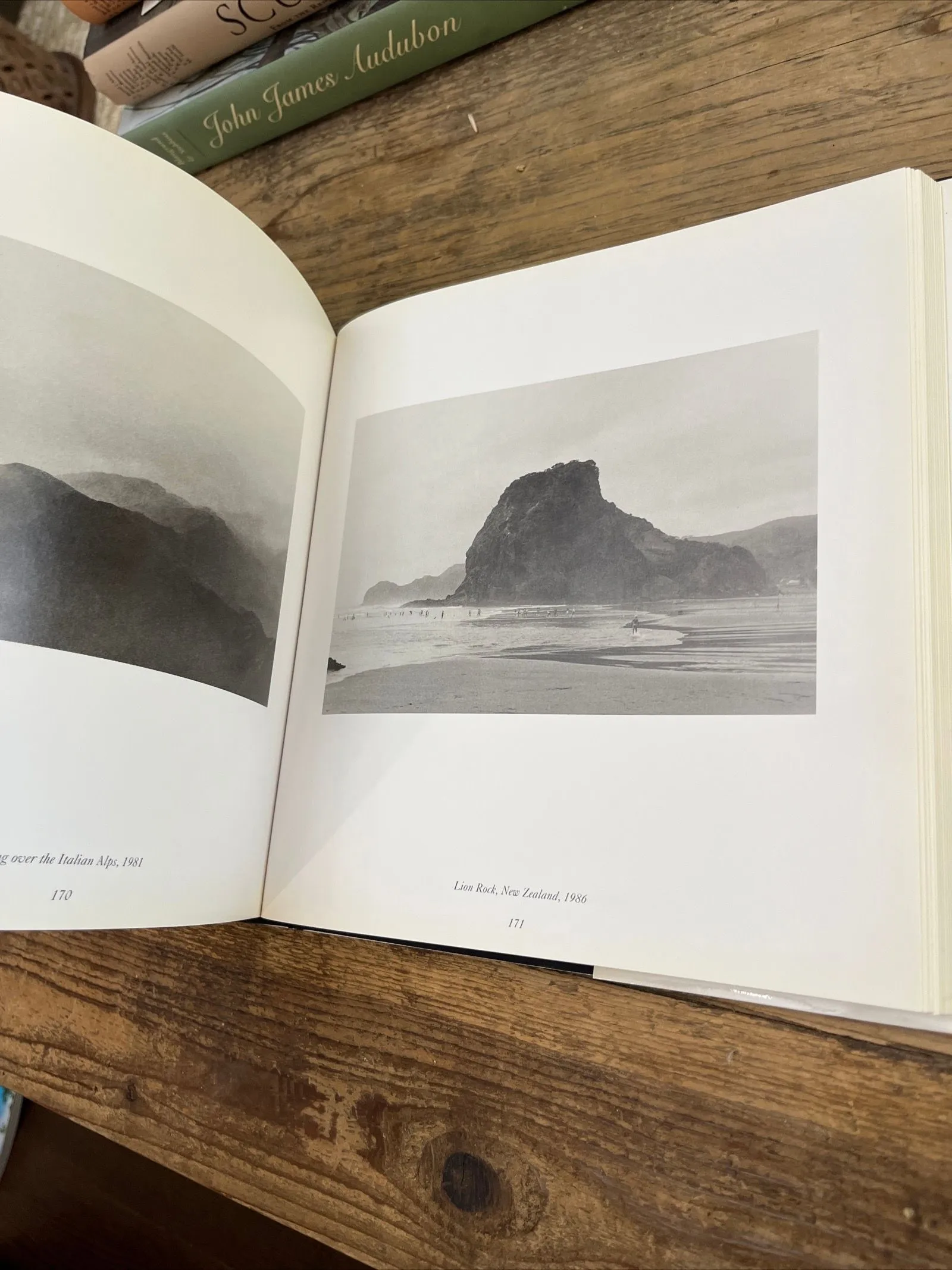 David Hamilton- twenty five years in art · Whatnot: Shop, Sell