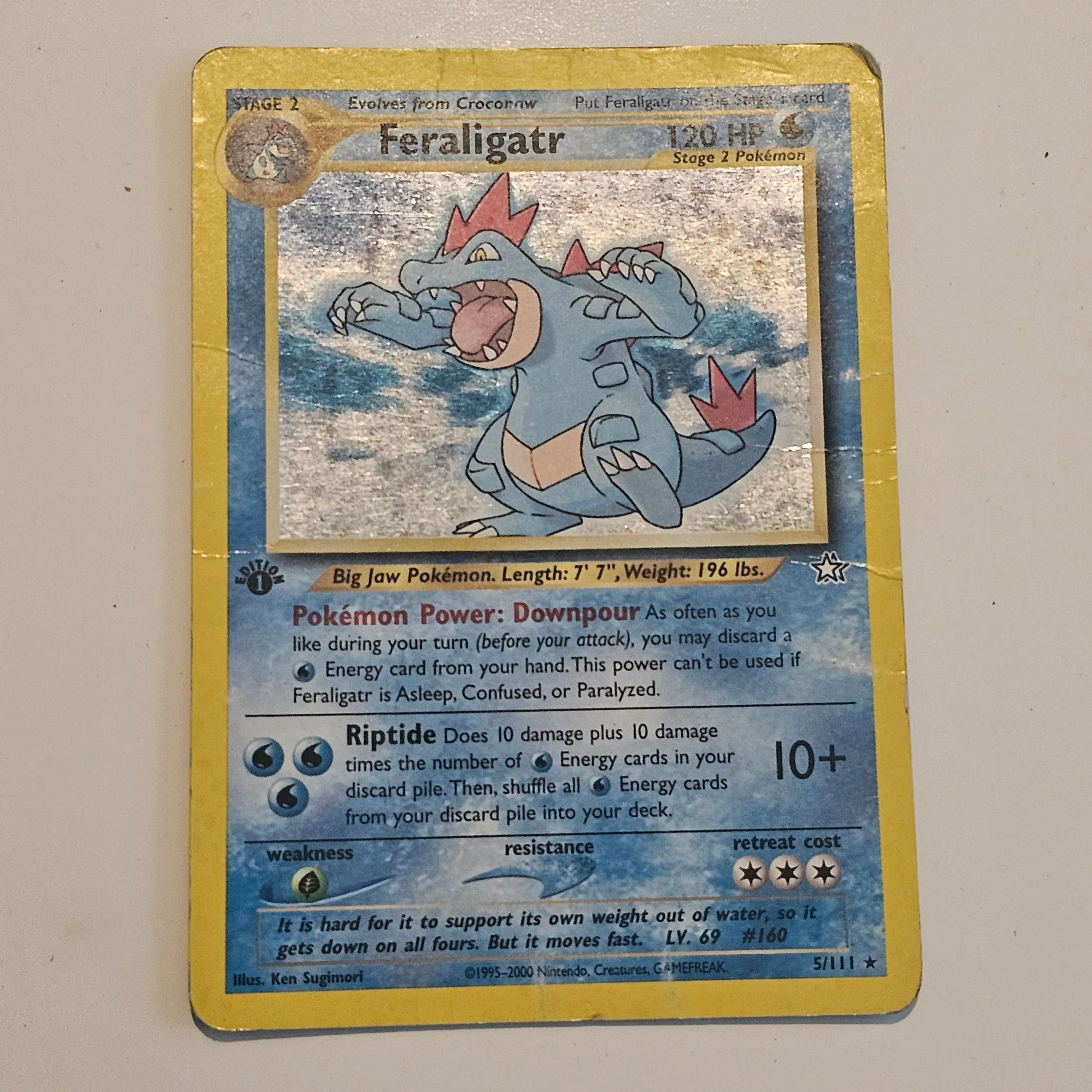 Pokemon Feraligatr 5 popular