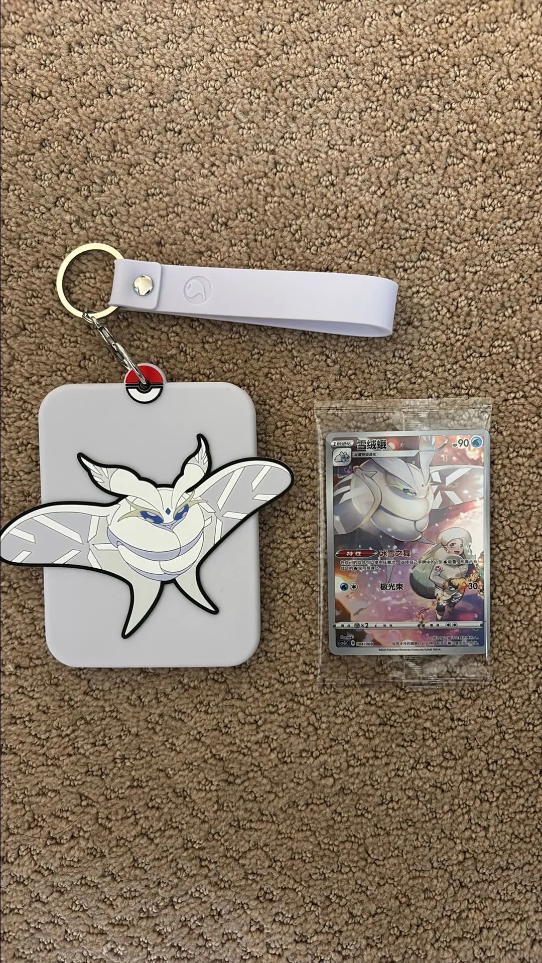 Pokemon Card Holder + Chinese Trainer Gallery · Whatnot