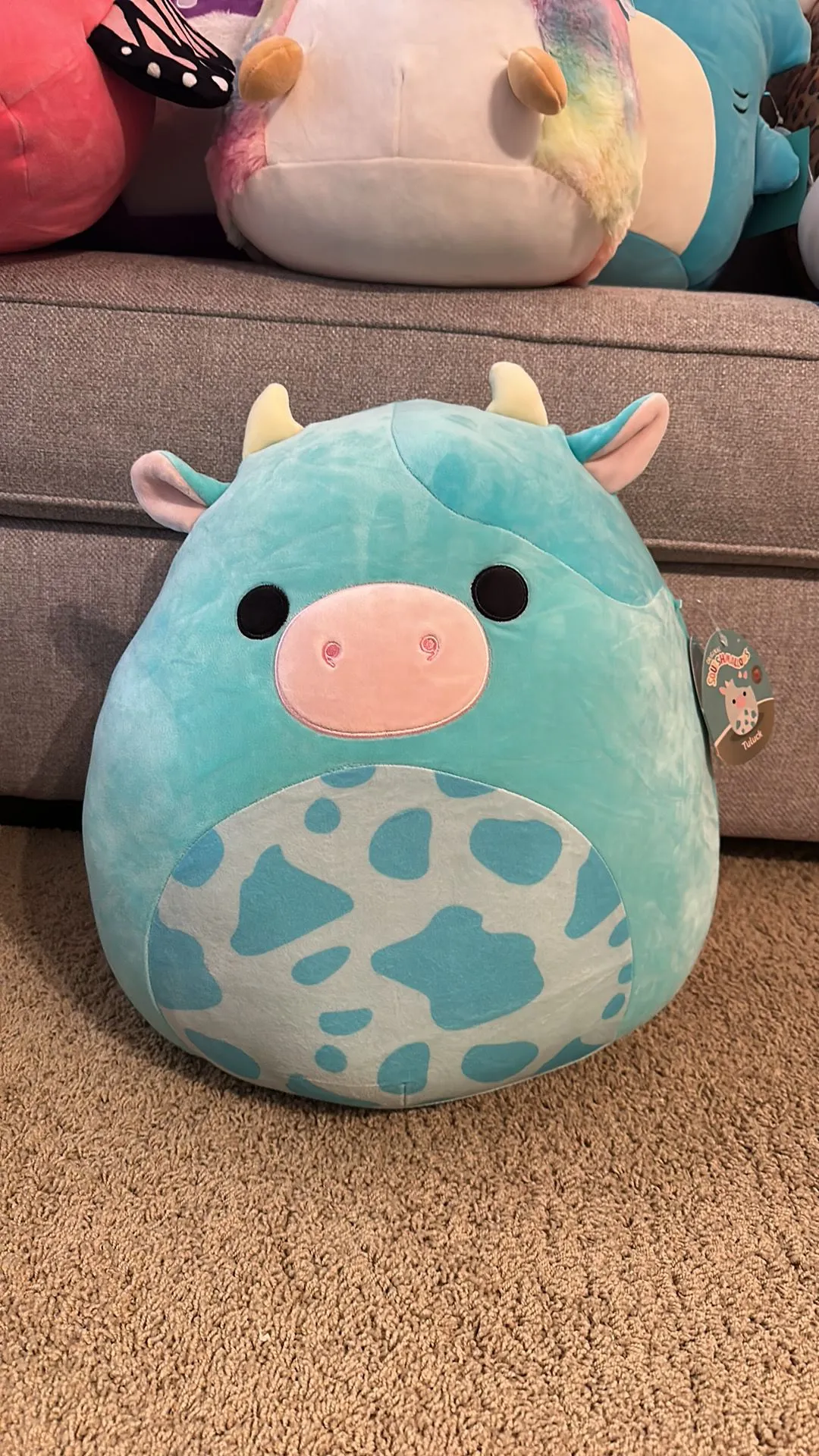 Squishmallow Tuluck the Blueberry deals Cow 16”