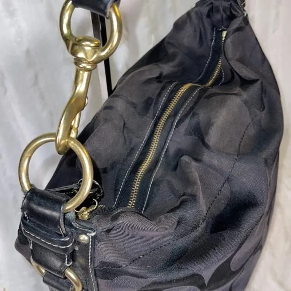 COACH Carly Signature Hobo Bag hot