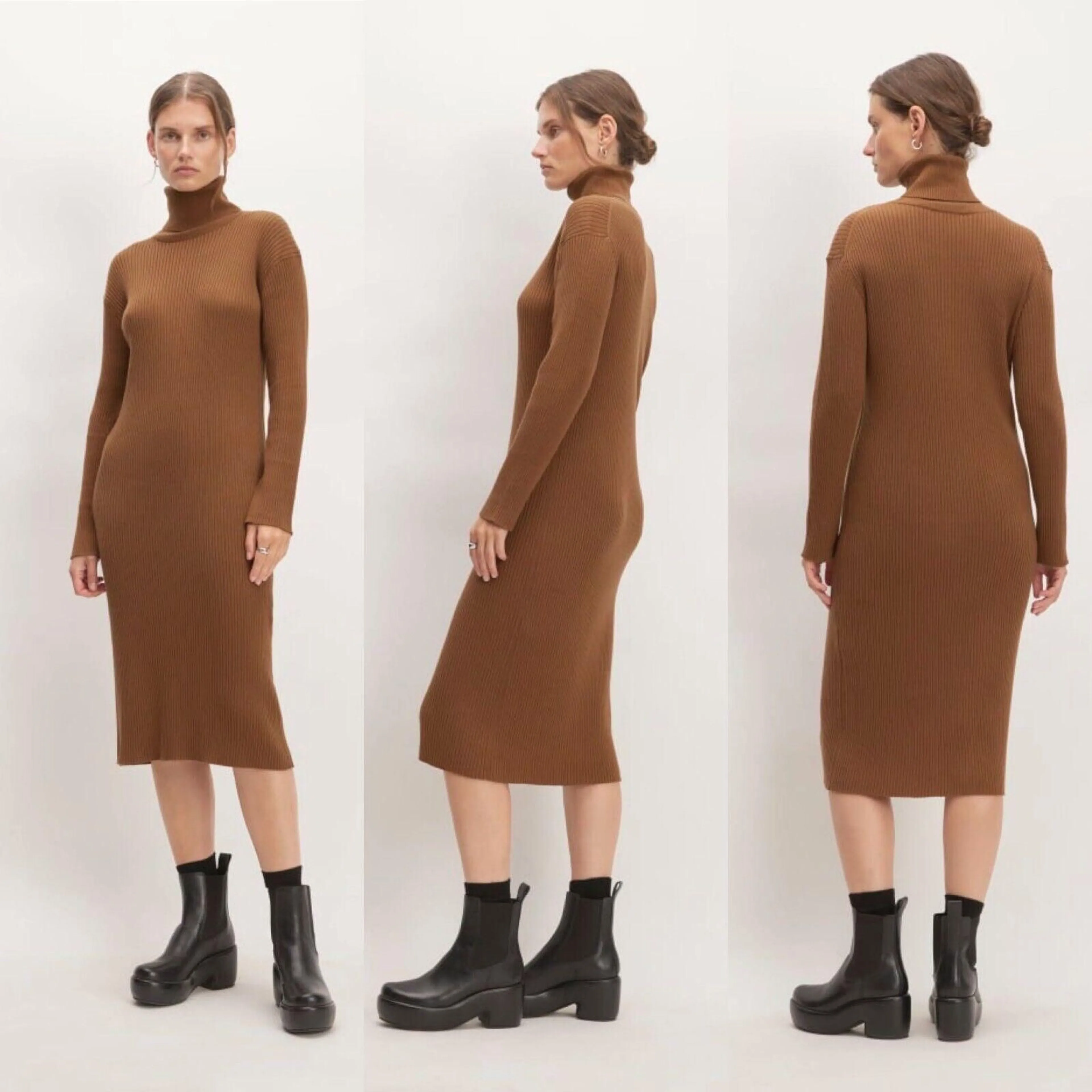 Shops everlane turtleneck dress