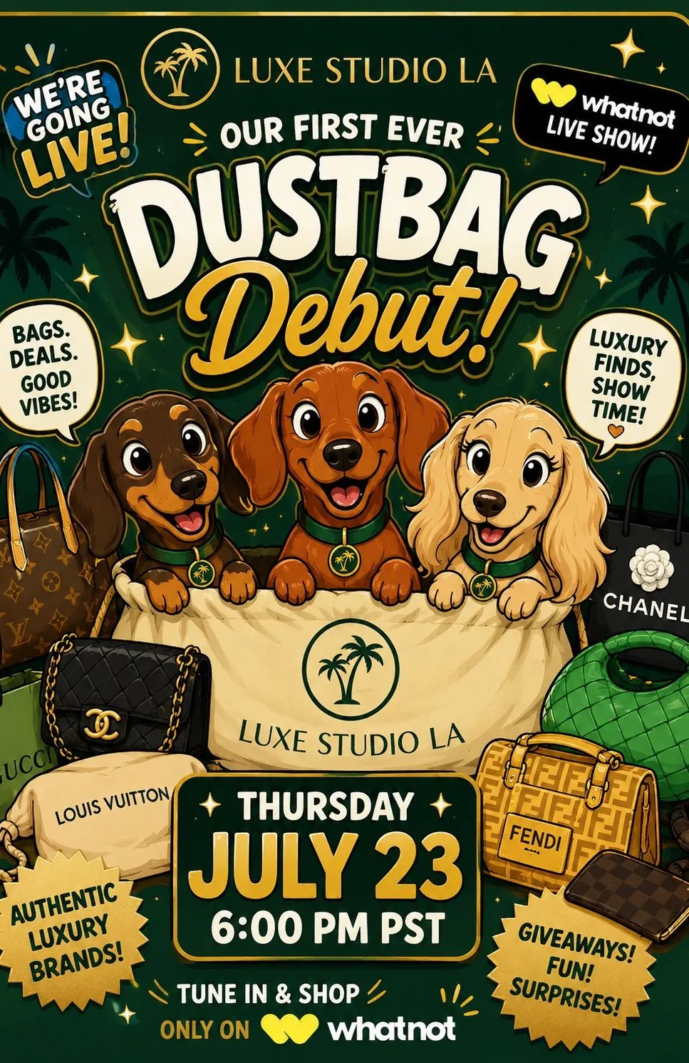 Thumbnail for live show