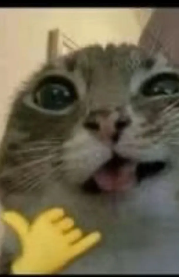 Thumbnail voor liveshow