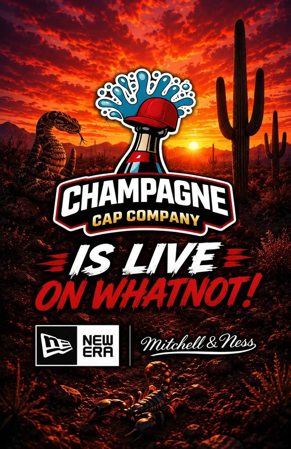 Thumbnail for live show