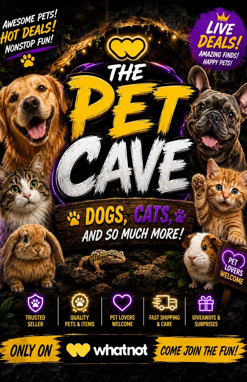 Thumbnail for live show