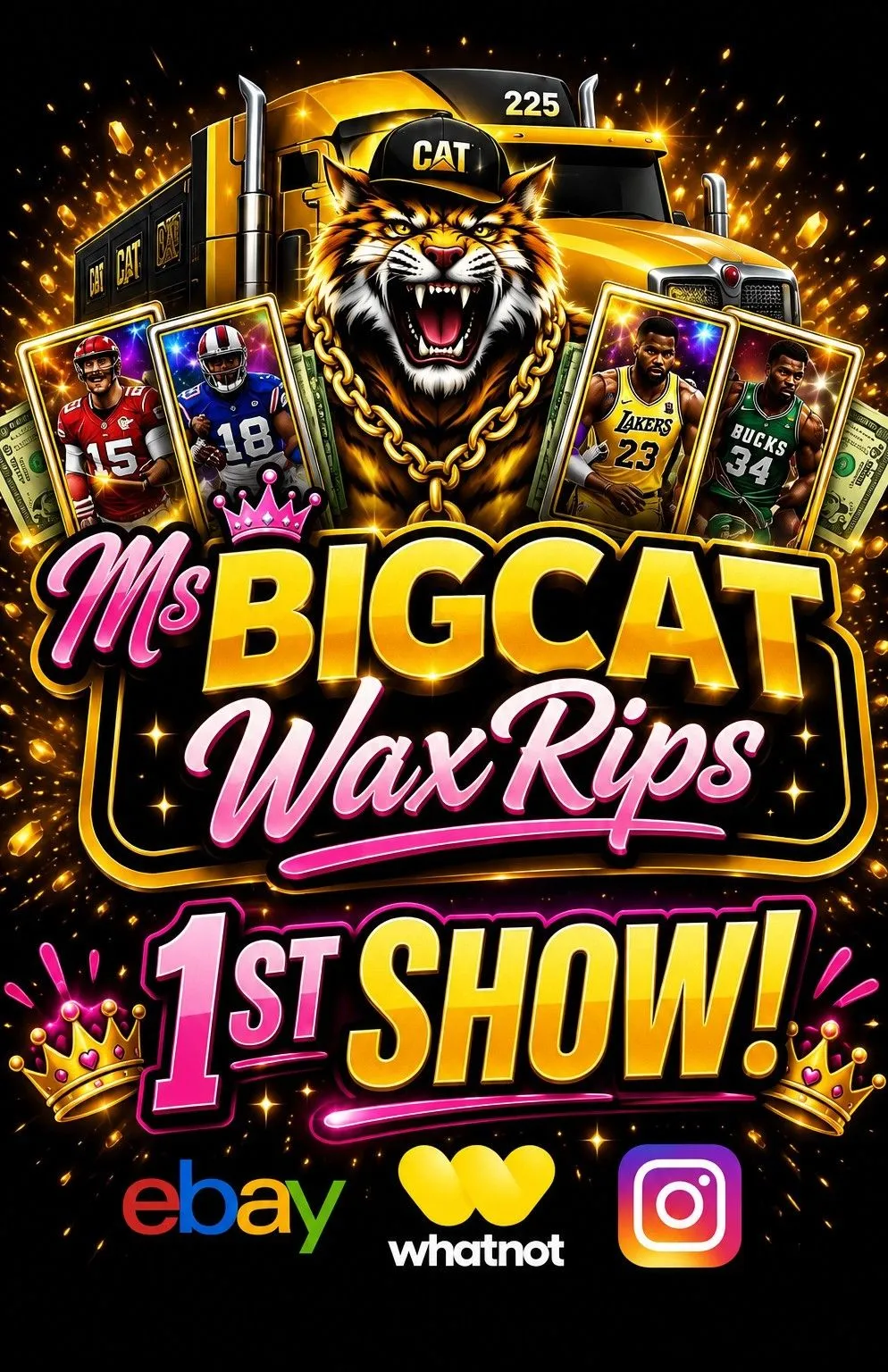 Thumbnail for live show