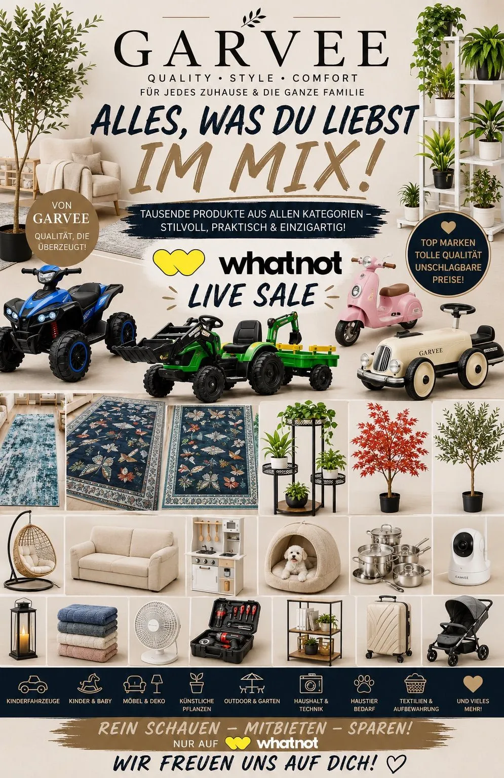 Miniature du live